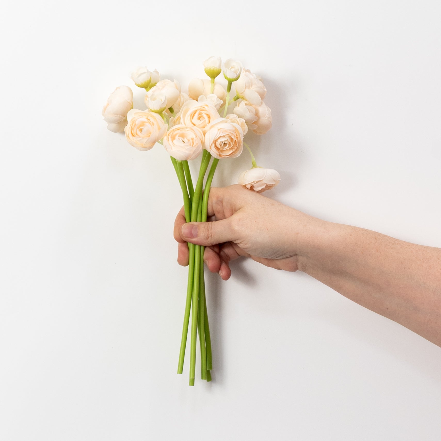 11" Mini Ranunculus Bundle: Cream