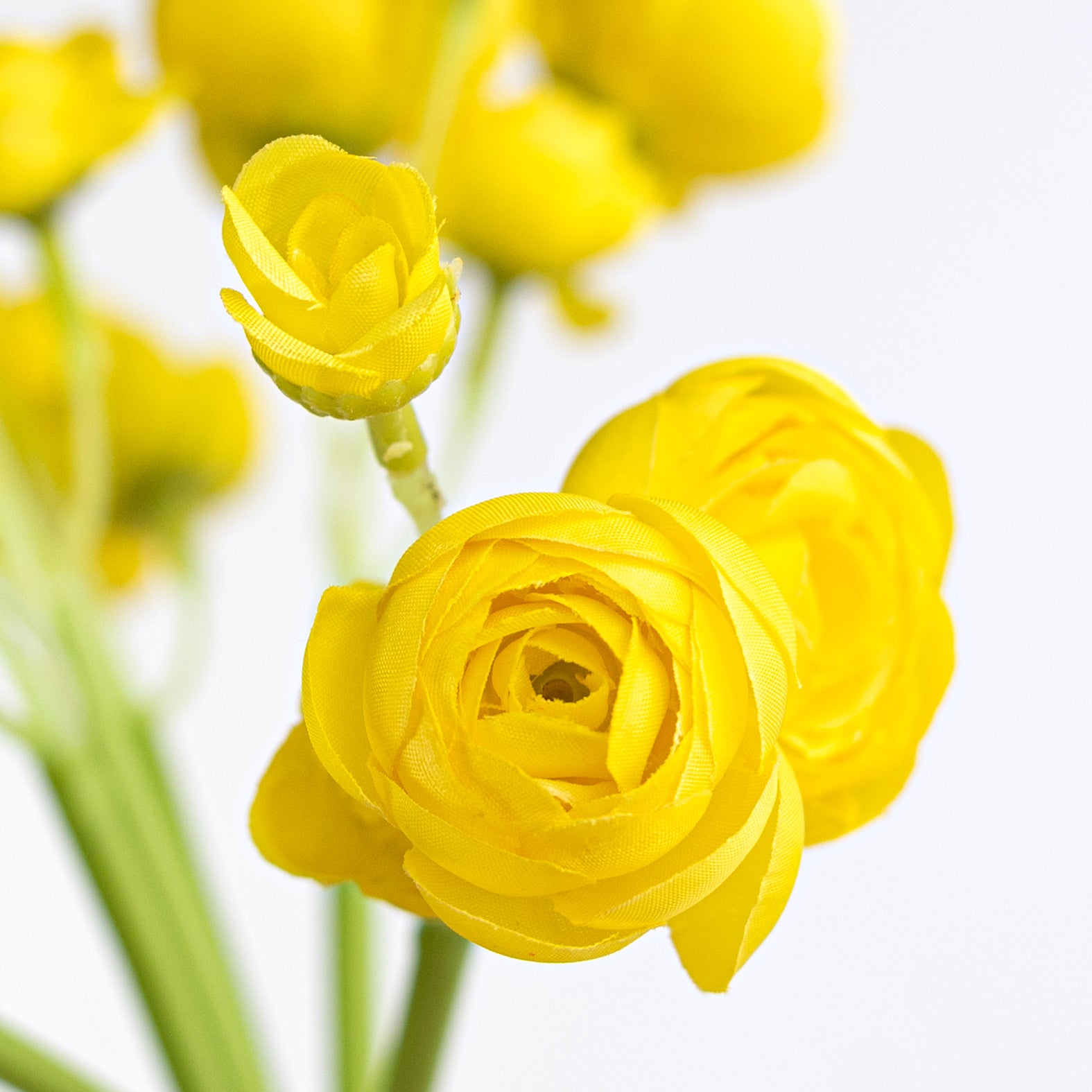 11" Mini Ranunculus Bundle: Yellow