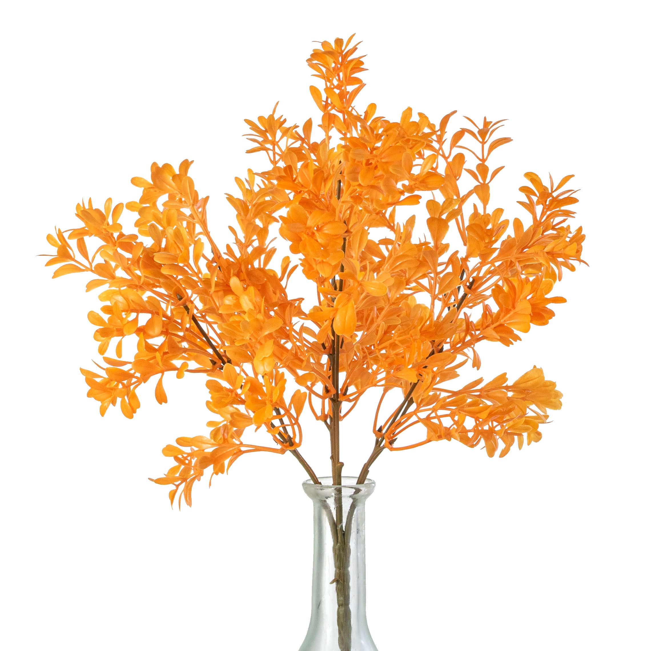 13" Boxwood Bush: Bright Orange (7 Stem)