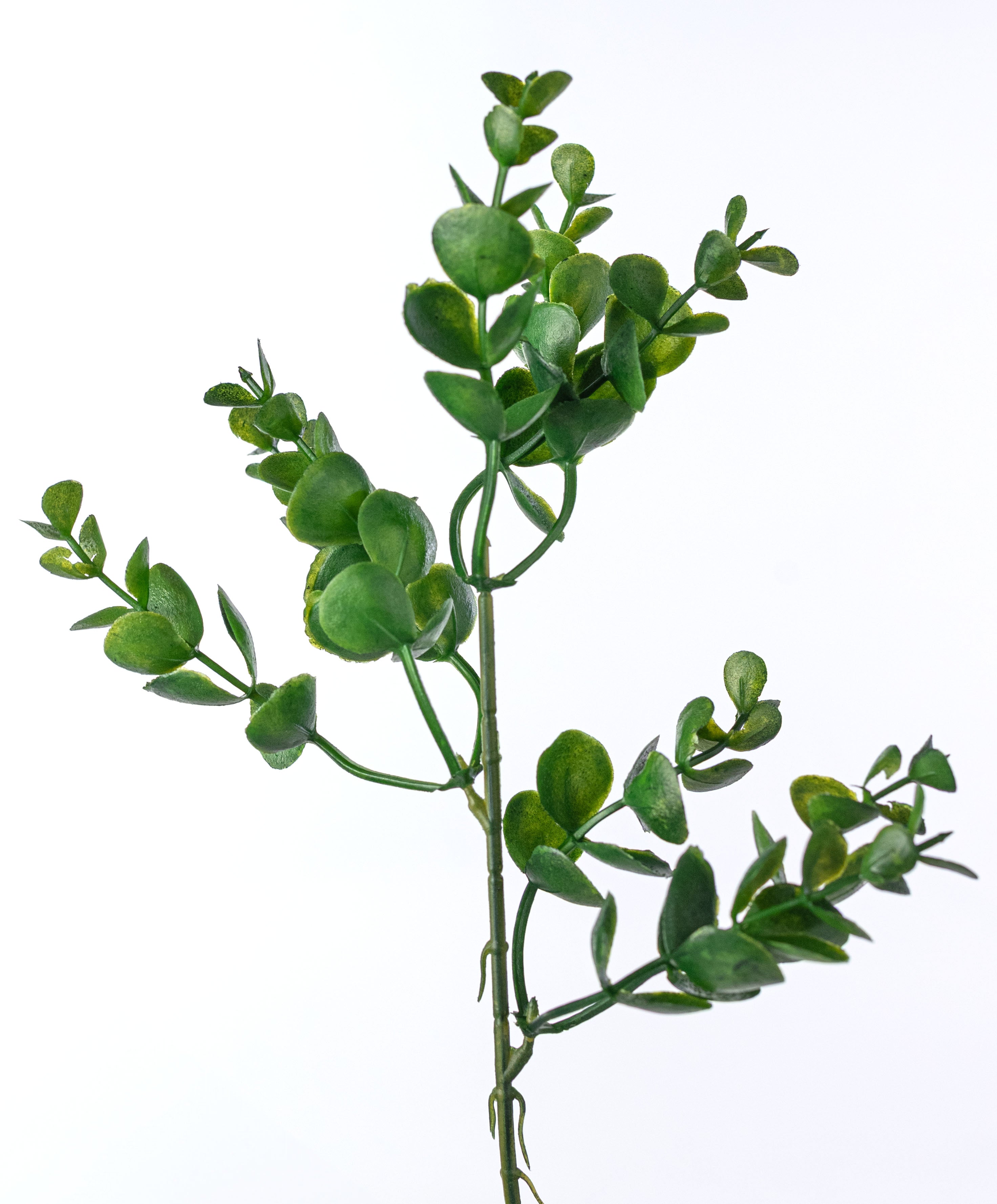 14" Eucalyptus Bush: Green (5 Stem)
