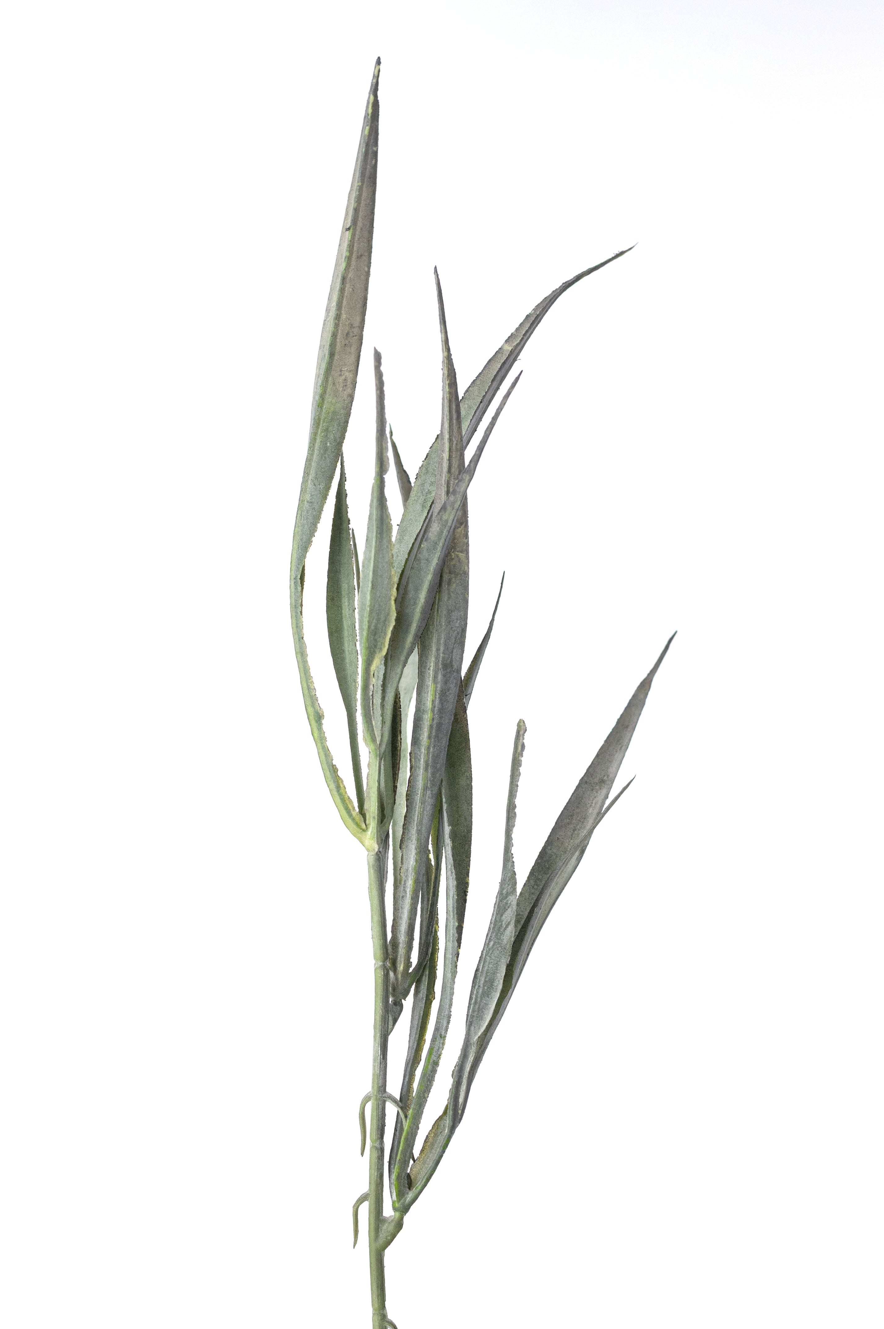 17" Grass Bush: Dusty Green (7 Stem)