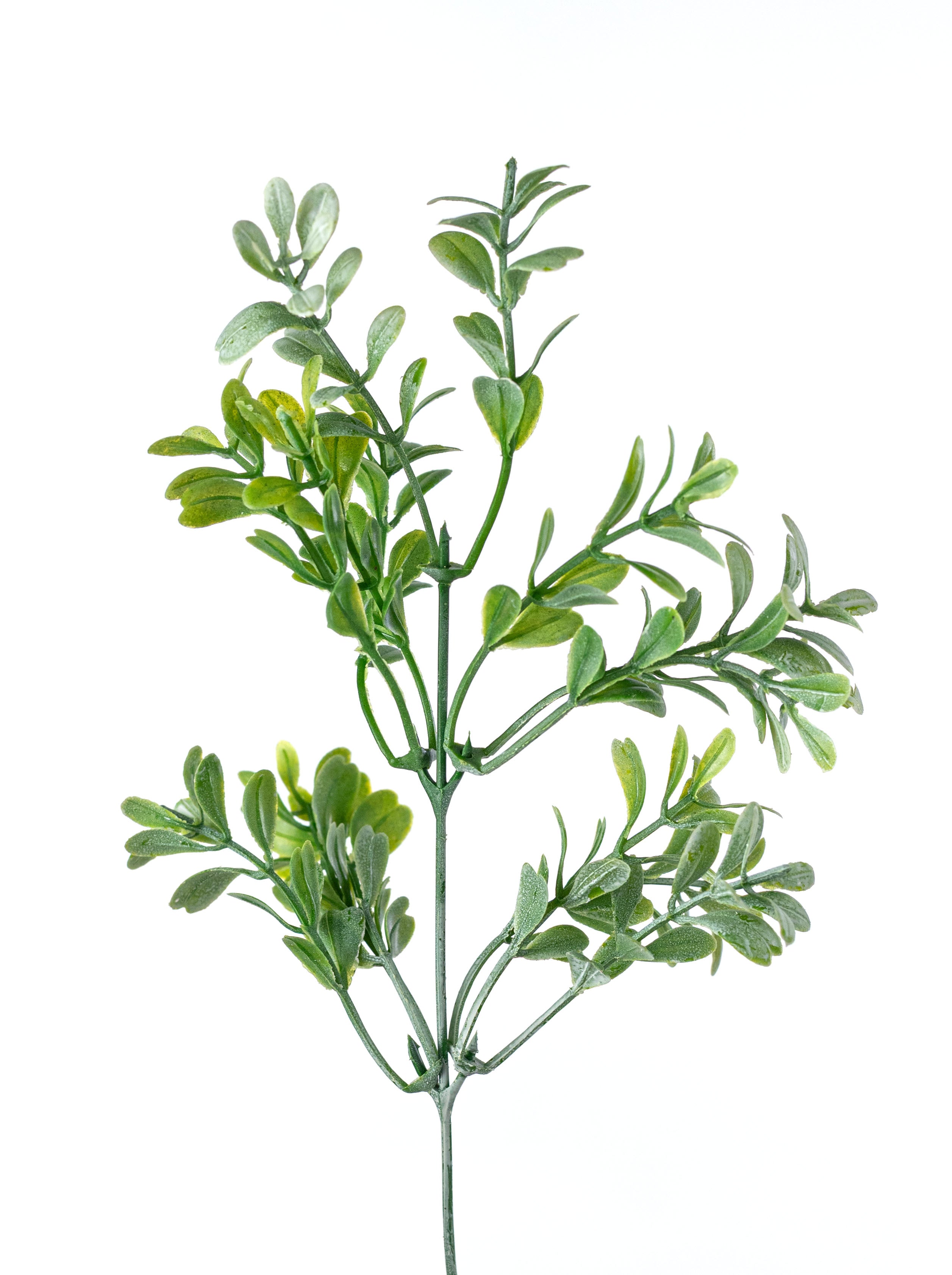 13" Boxwood Bush: Dusty Green (7 Stem)