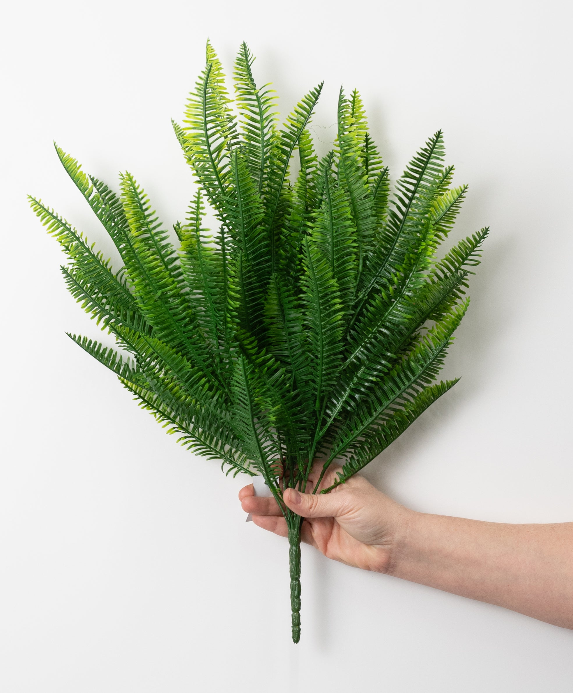 21" Soft Touch Abies Fir Bush (7 Stem)
