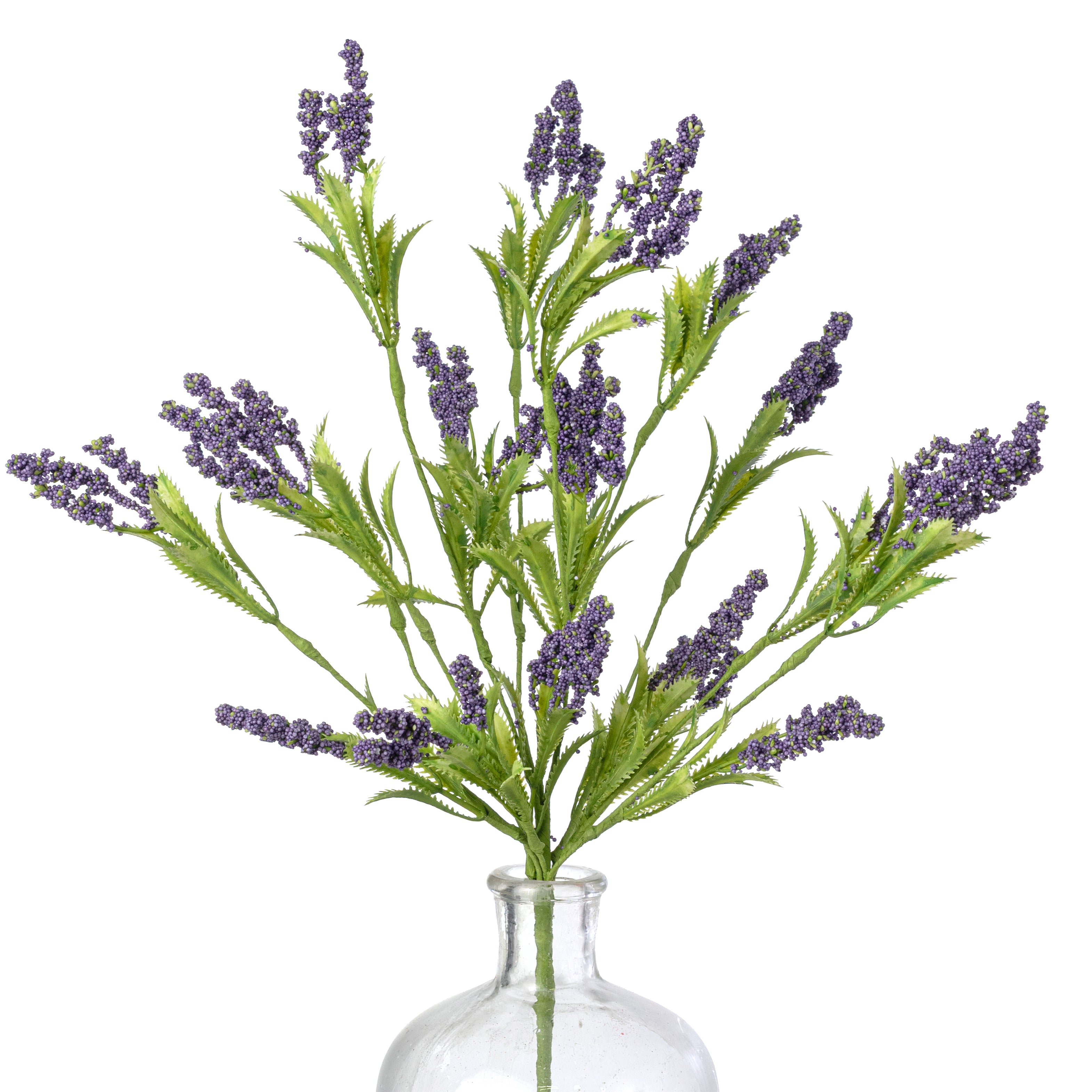 lavender with long flower stems 21" Lavender Flowers Bush