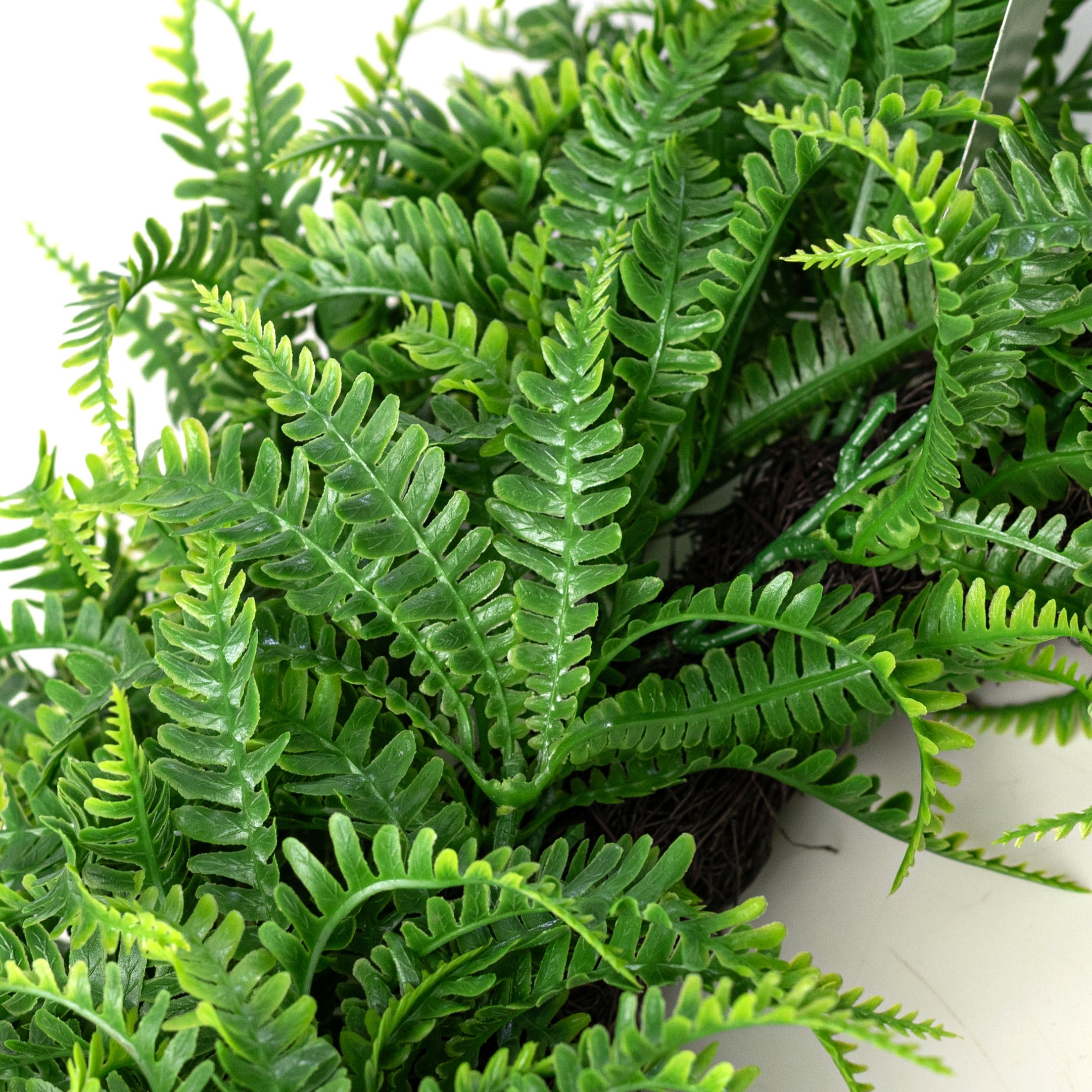 18" Plastic Mini Fern Wreath: Dusty Two-Tone Green