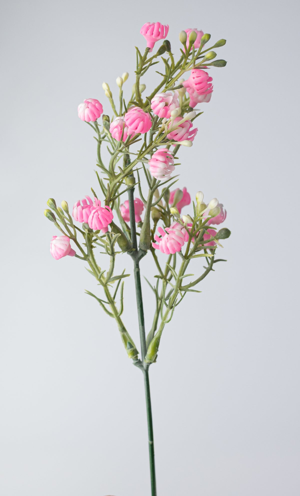 13" Closed Baby's Breath Gypsophila Bush: Pink