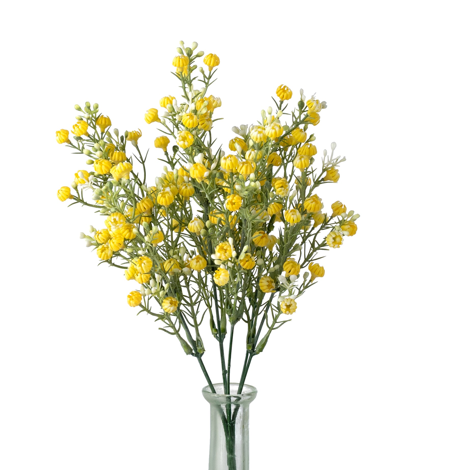 13" Closed Baby's Breath Gypsophila Bush: Yellow