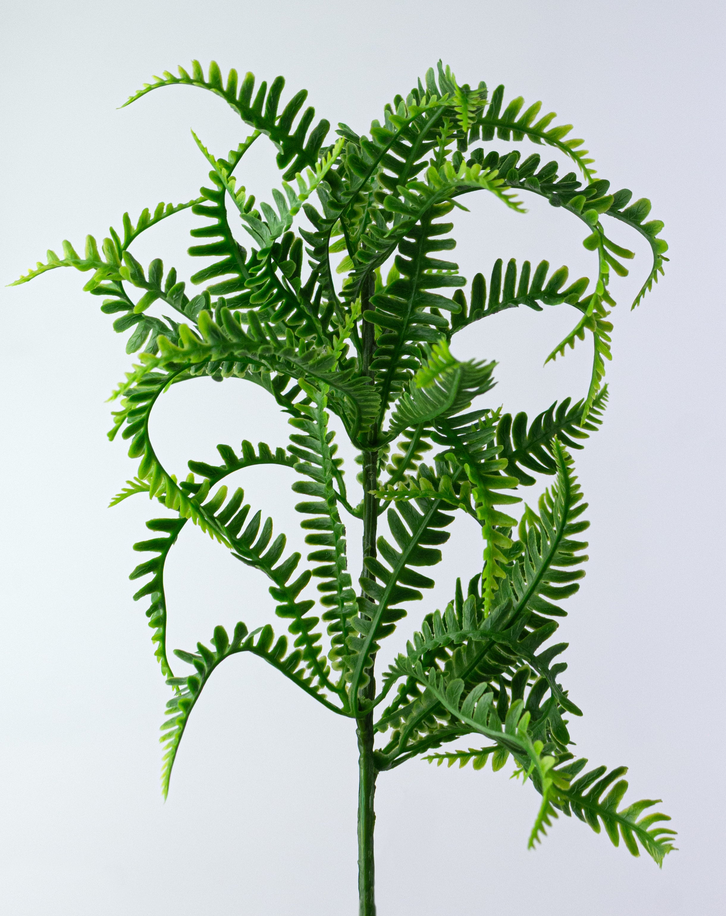 15" Plastic Mini Fern Bush: Dusty Two-Tone Green