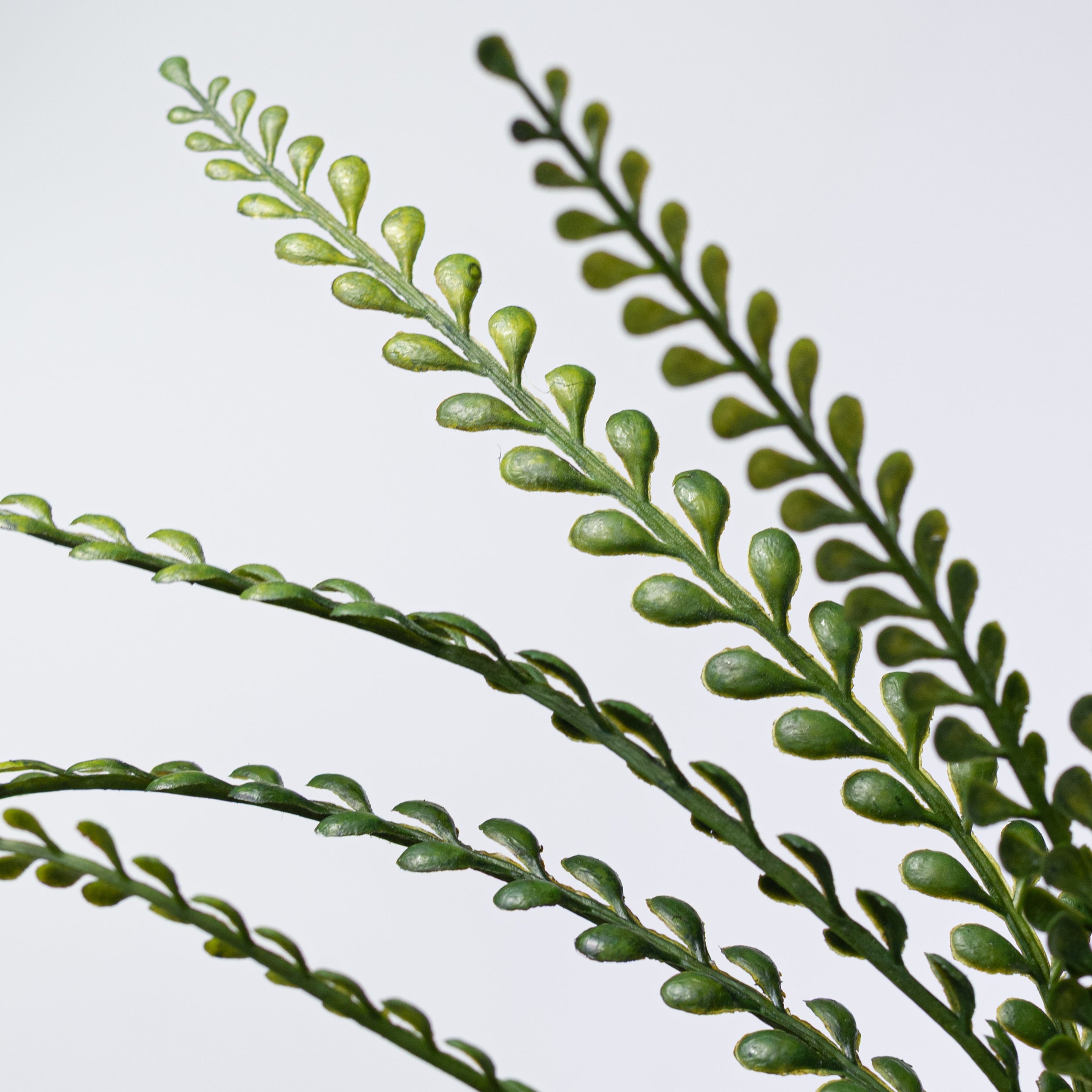 19" Plastic Button Fern Bush