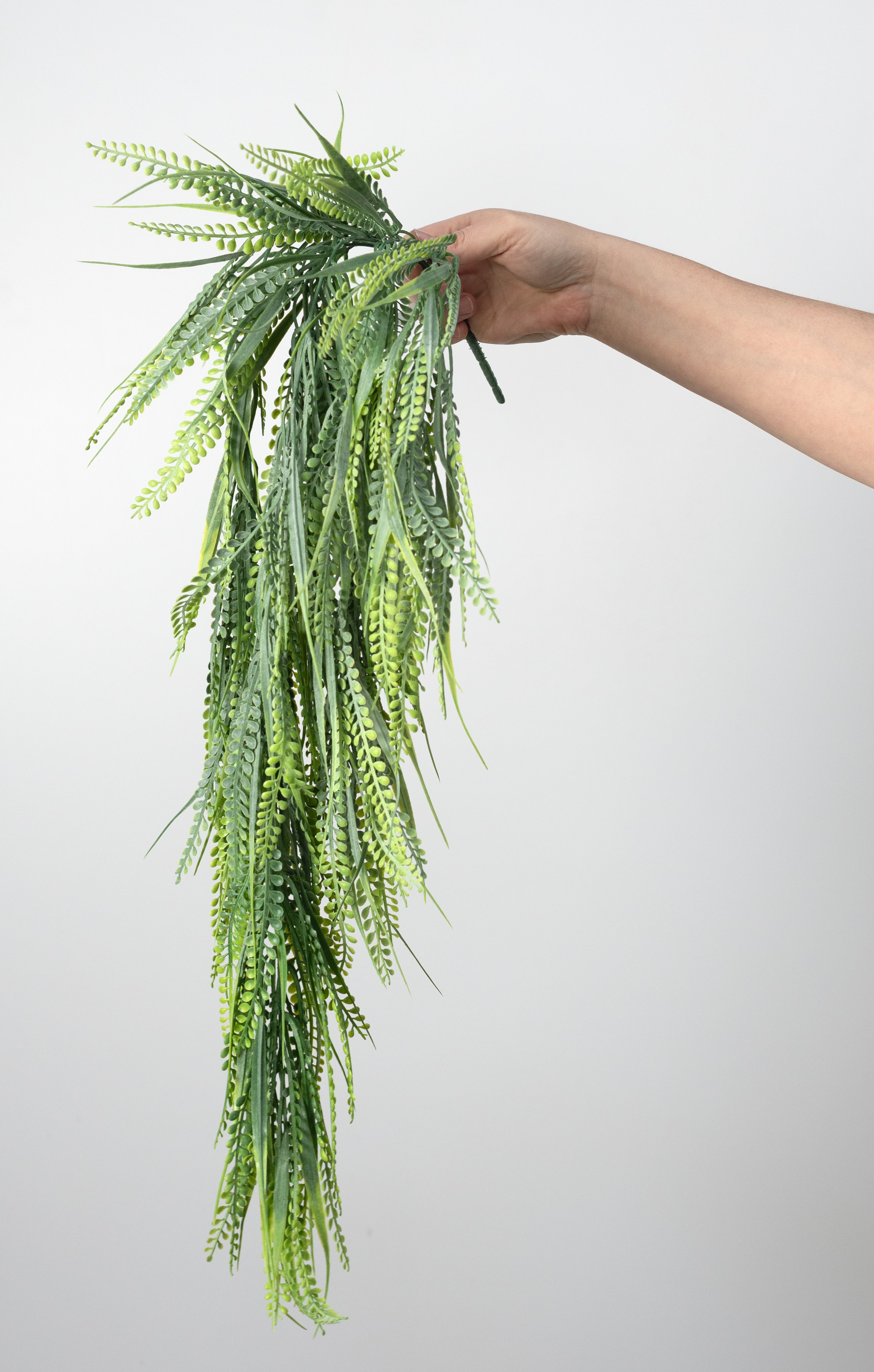 32" BUDGET Button Fern Hanging Bush: Spring Green (5 Stem)