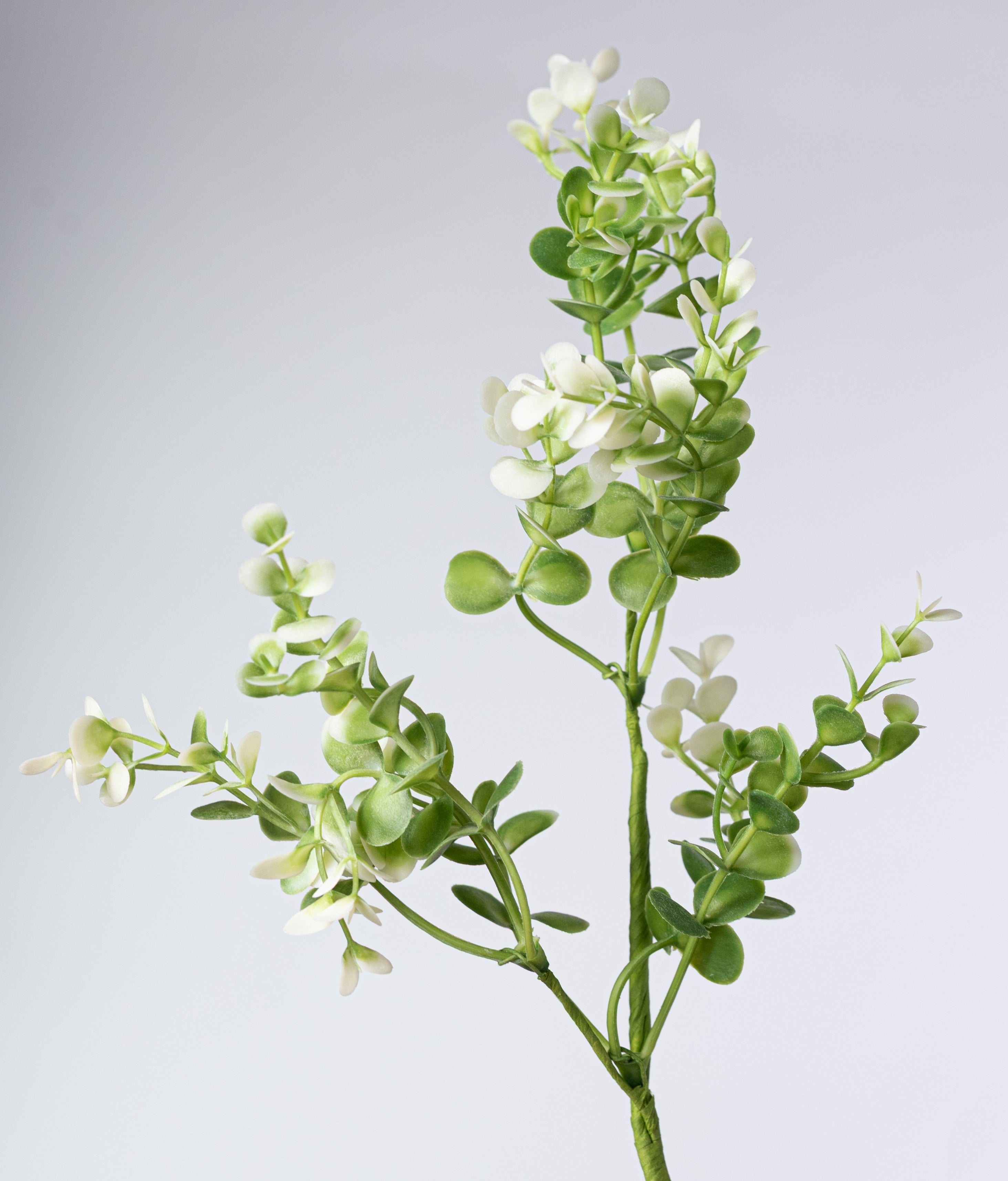 17" Plastic Eucalyptus Bush: Cream