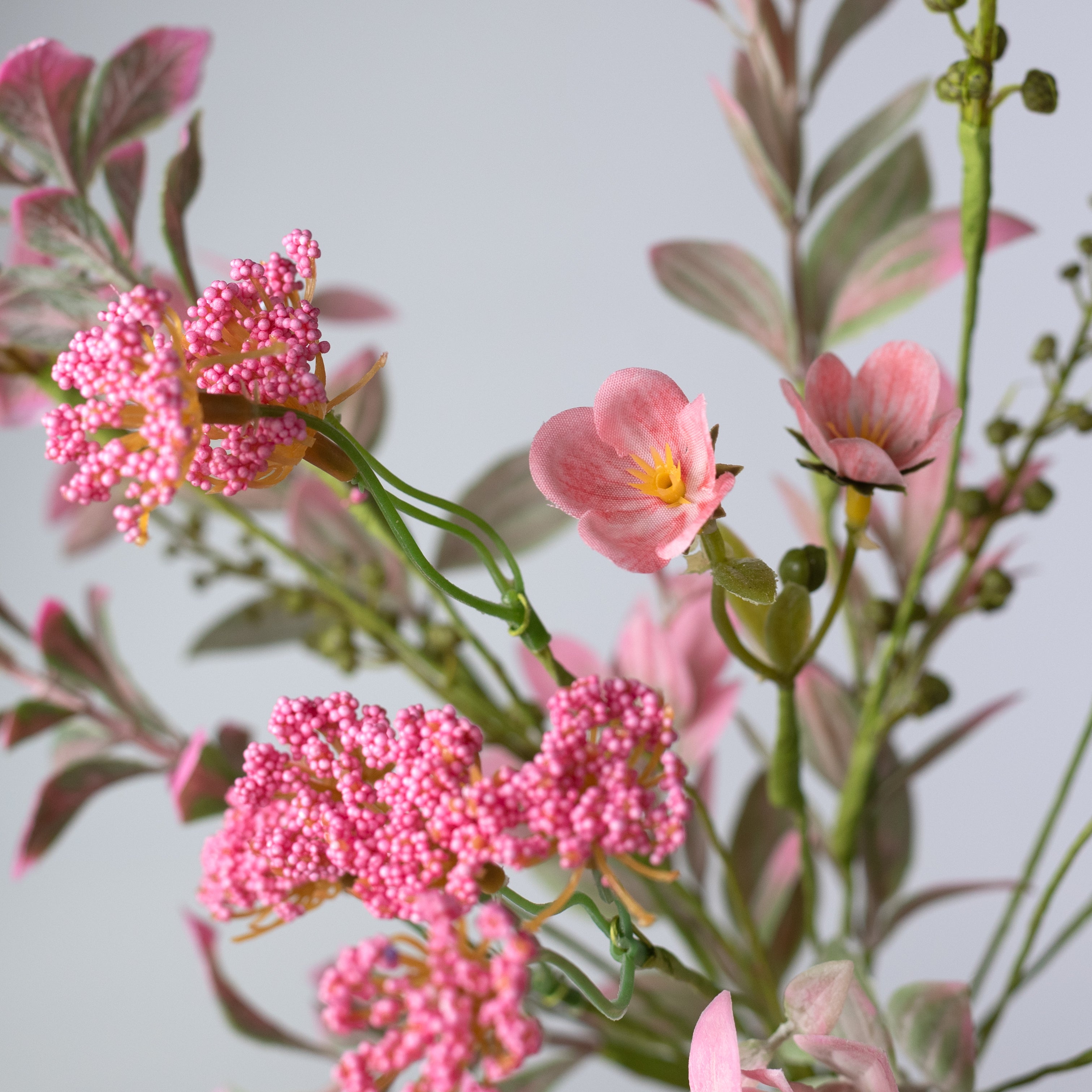19" Queen Anne's Lace Flower Filler Bush: Pink
