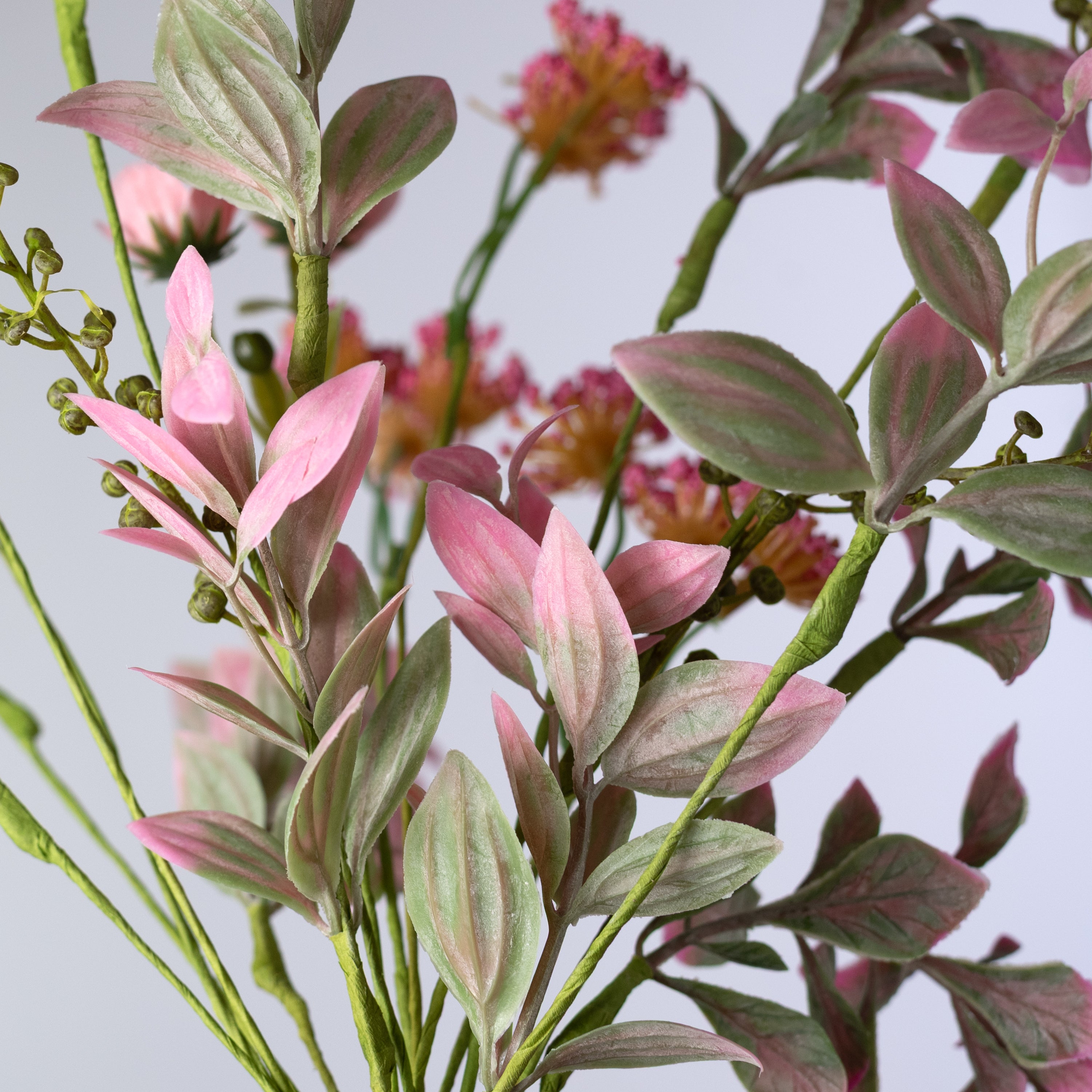 19" Queen Anne's Lace Flower Filler Bush: Pink