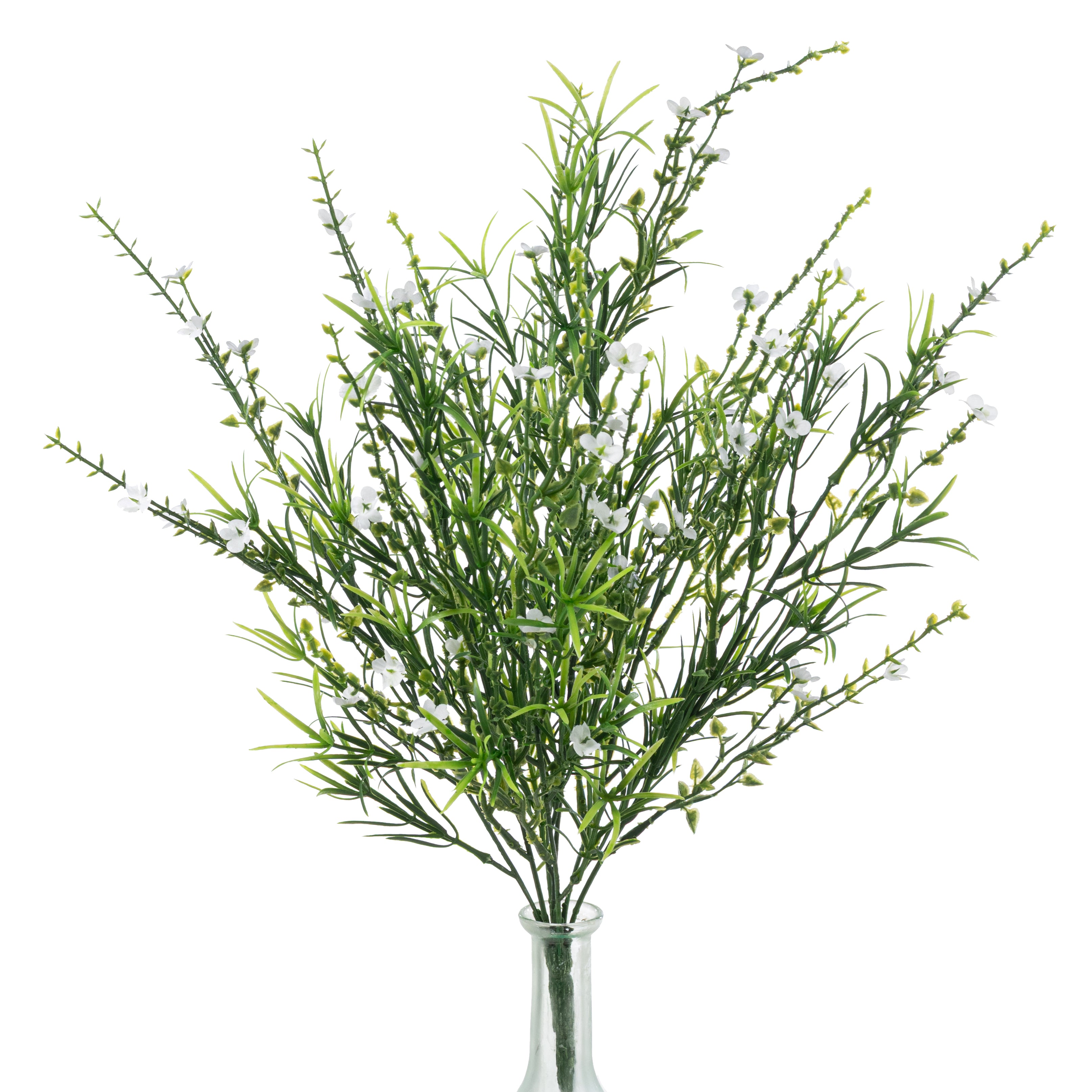 21" Mixed Forget-Me-Not Bush: Cream White