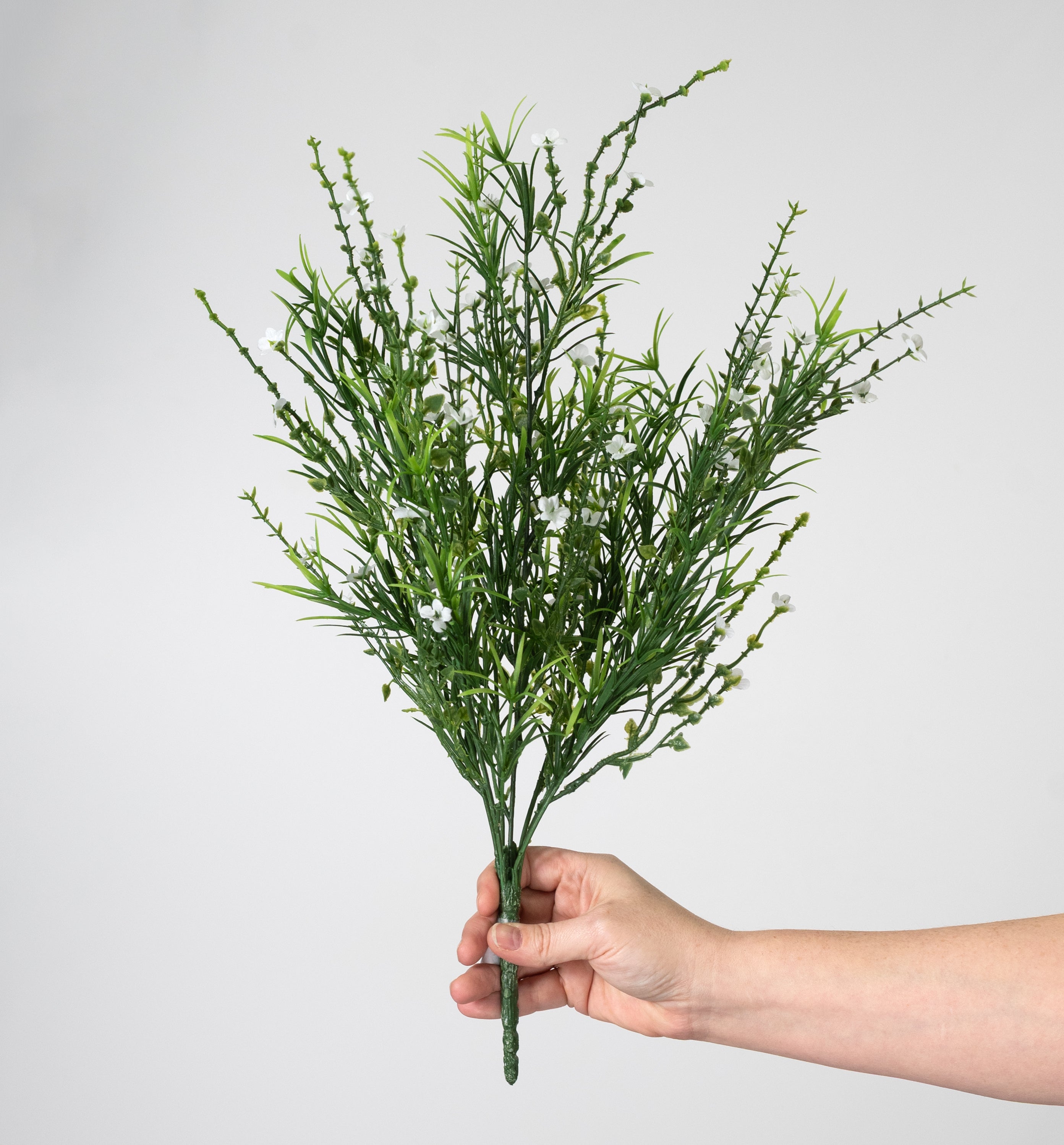 21" Mixed Forget-Me-Not Bush: Cream White