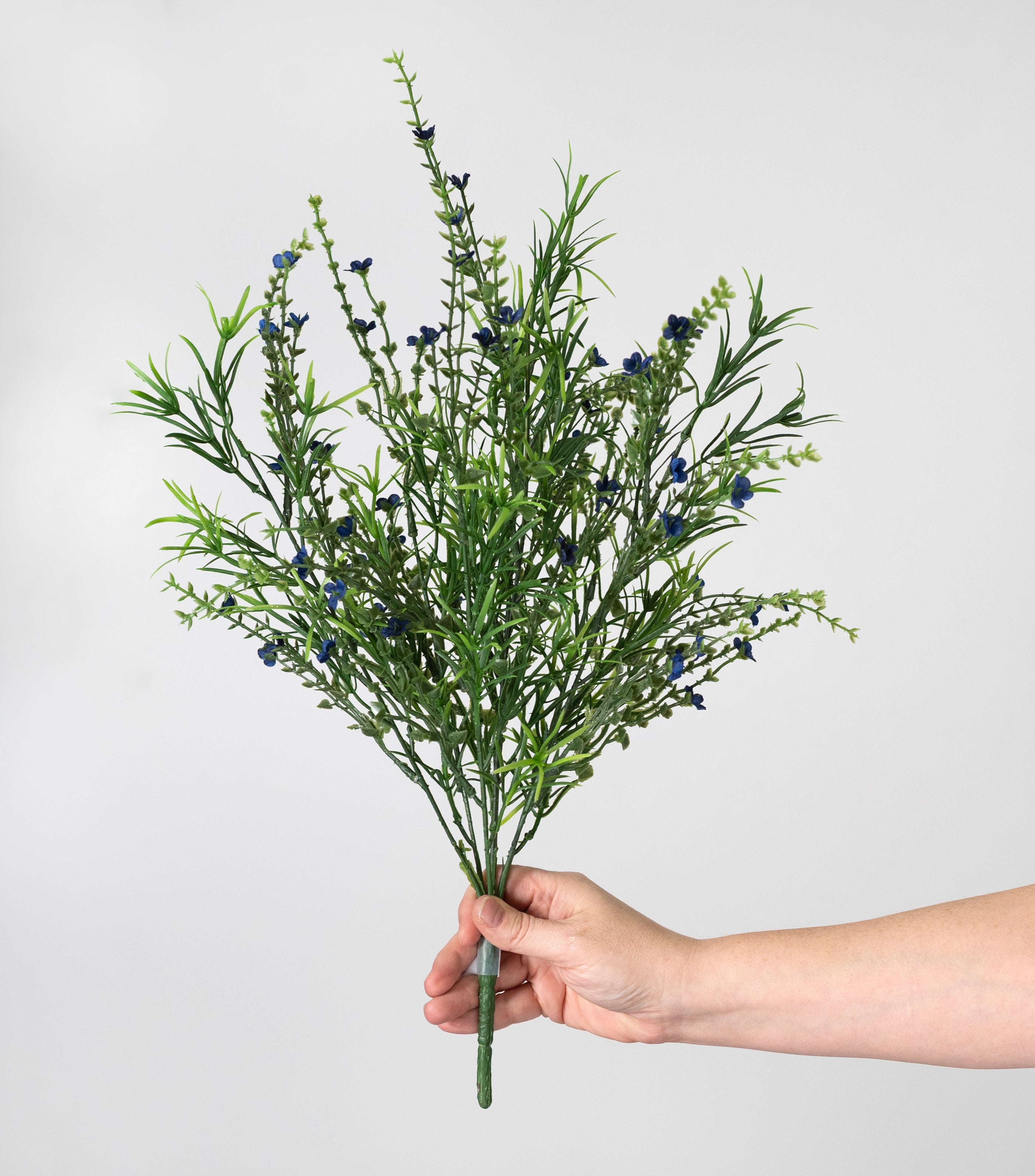 21" Mixed Forget-Me-Not Bush: Blue
