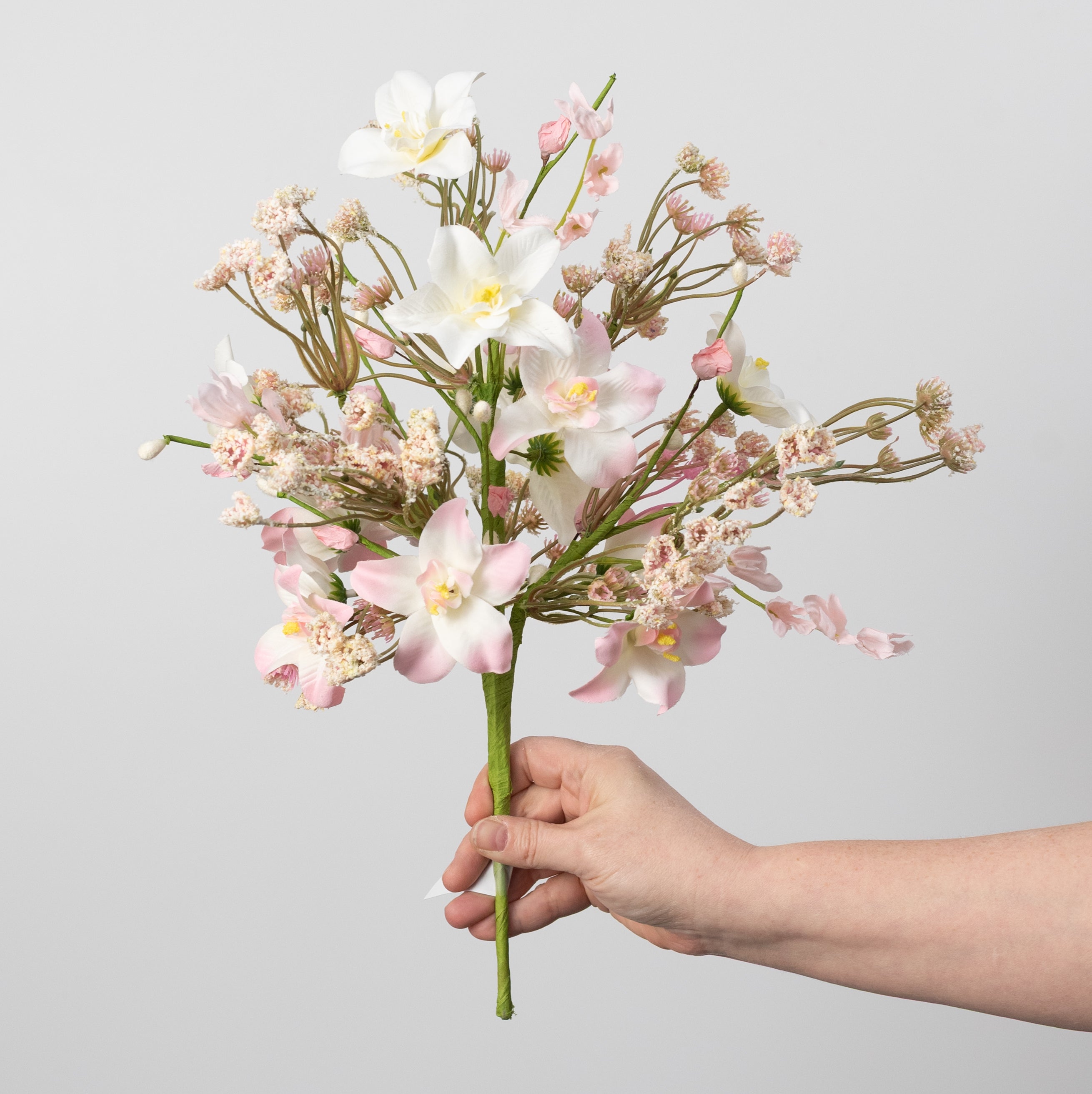 18" Mixed Wild Rose Bush: Pink & White