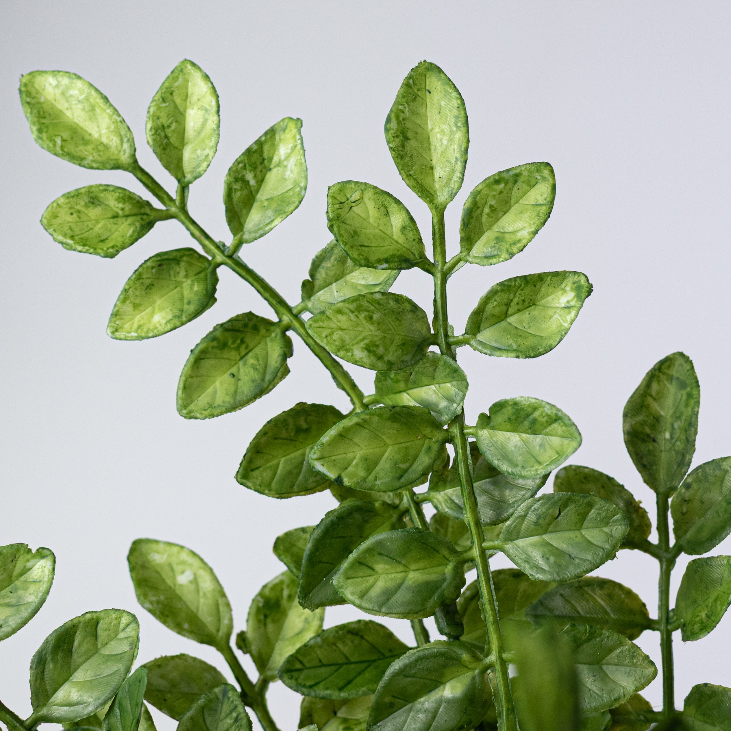 15" Plastic Wisteria Leaves Bush (5 Stem)