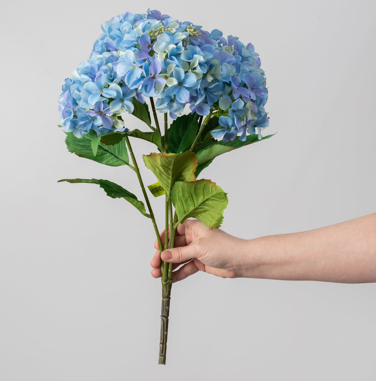 20" Hydrangea Bush: Blue (5 Stem)