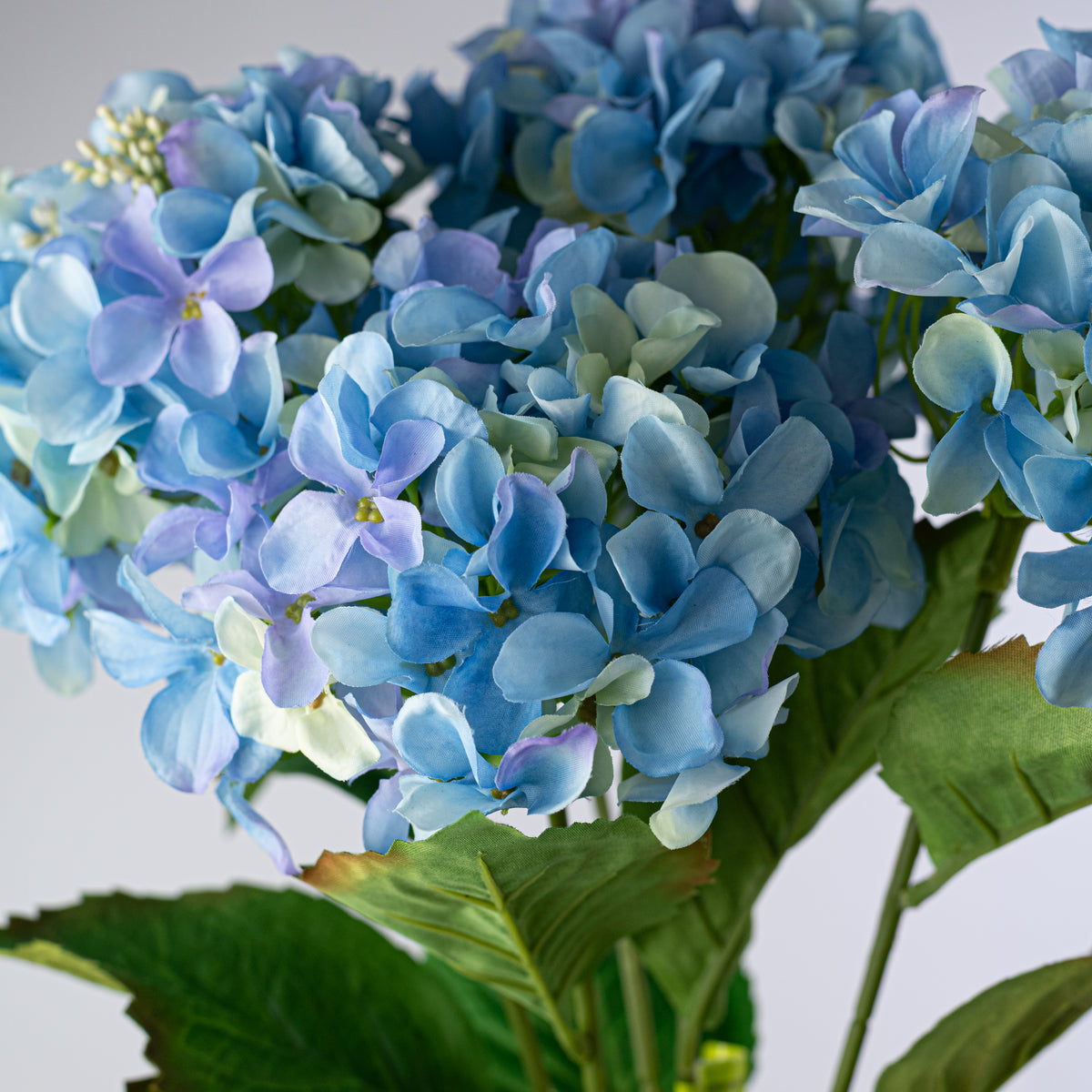 20" Hydrangea Bush: Blue (5 Stem)