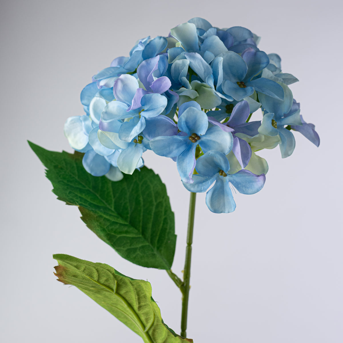 20" Hydrangea Bush: Blue (5 Stem)