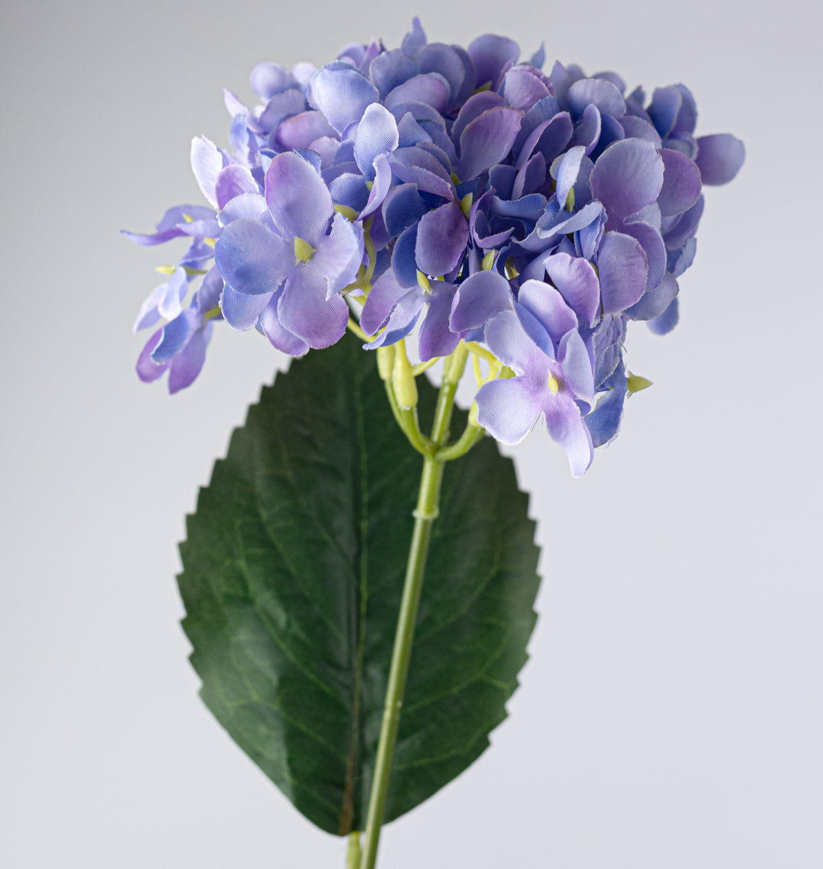 19" Hydrangea Bush: Lavender (5 Stem)
