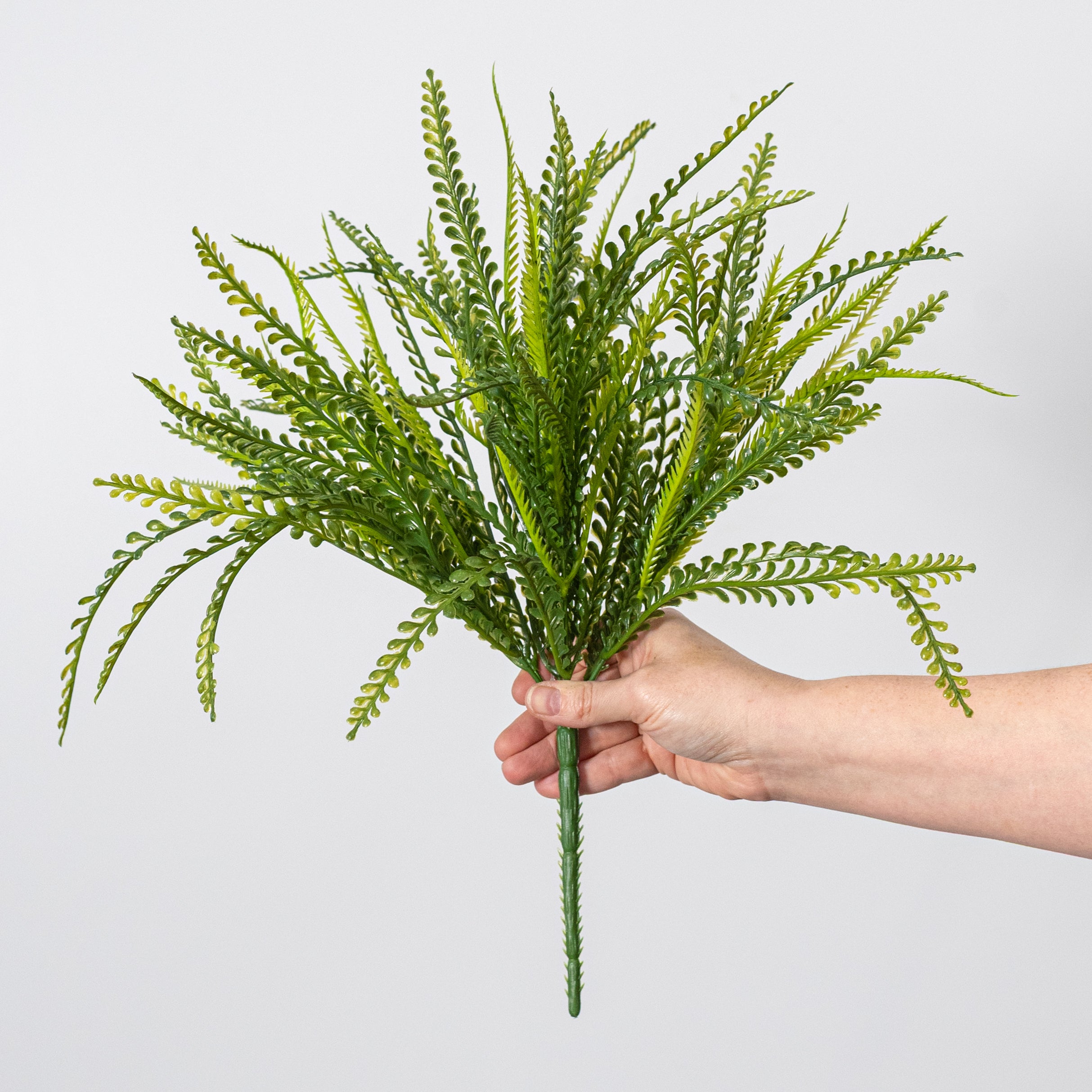 19" Button Fern Bush: Two Tone Green (7 Stem)