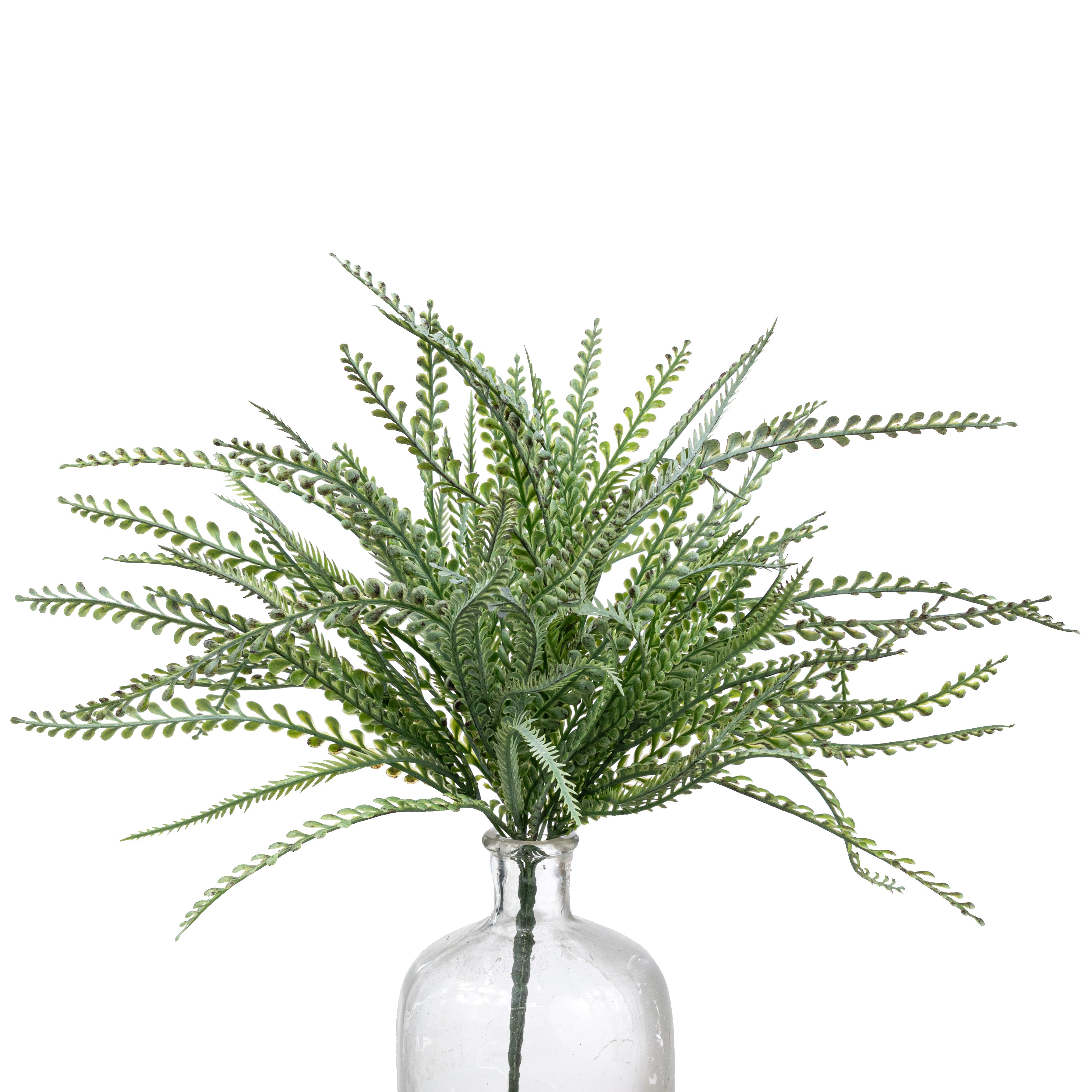 19" Button Fern Bush: Distressed Green (7 Stem)