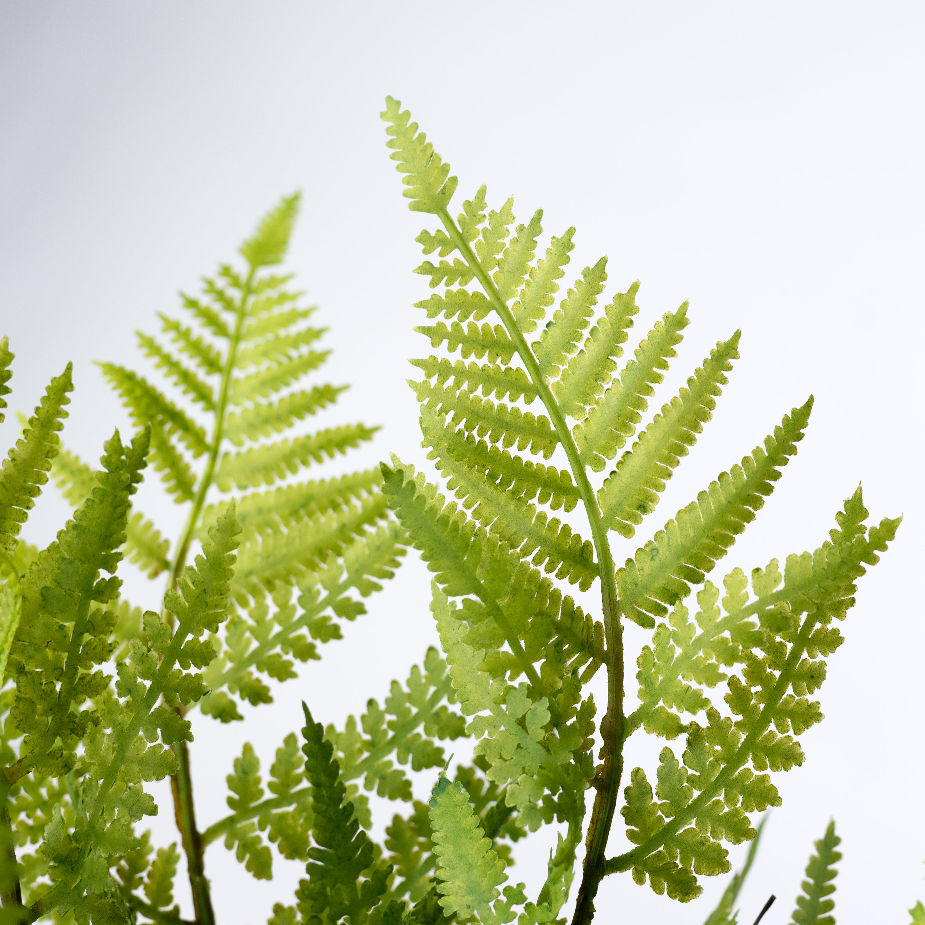 19" Artificial Fern & Frond Bush: Green