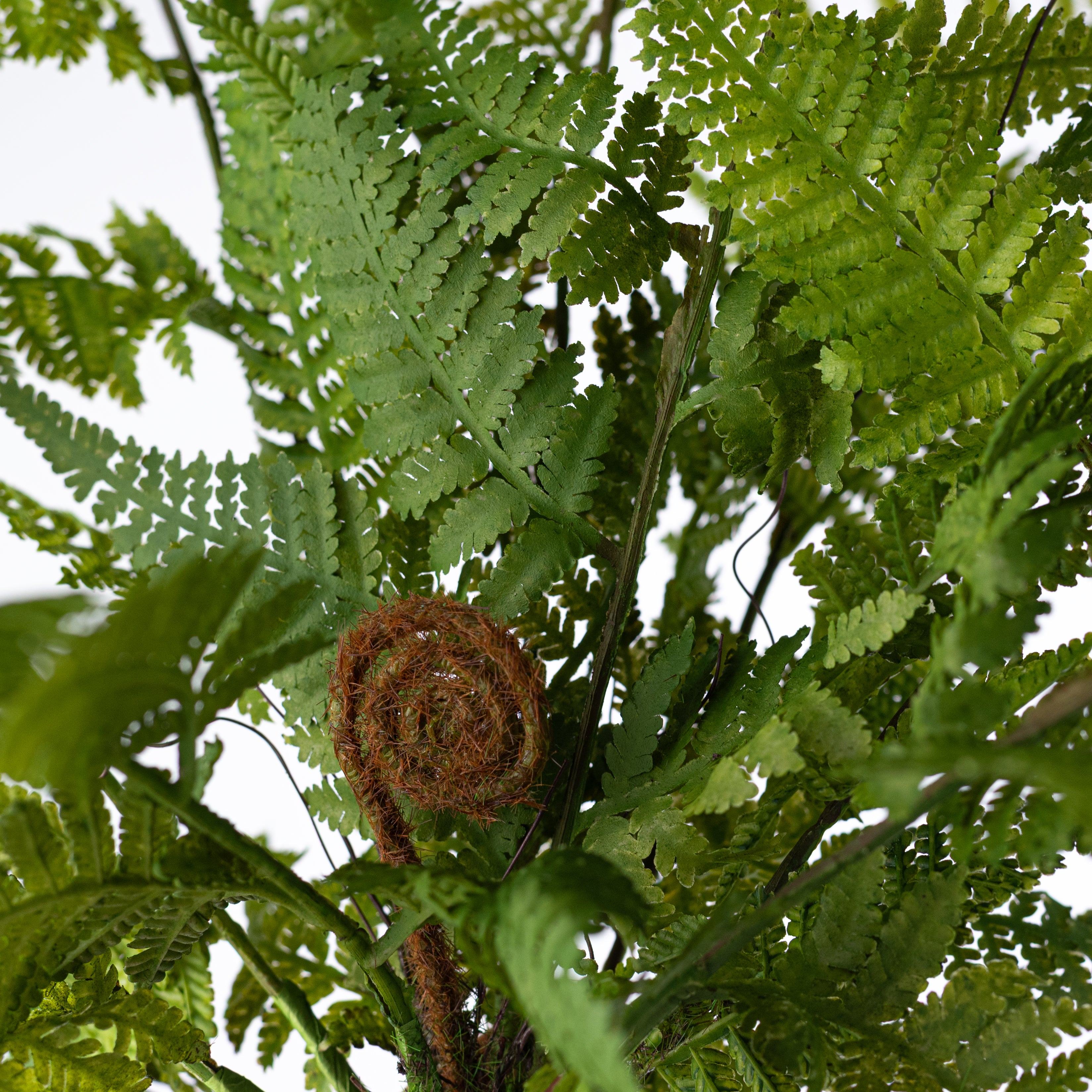 19" Artificial Fern & Frond Bush: Green