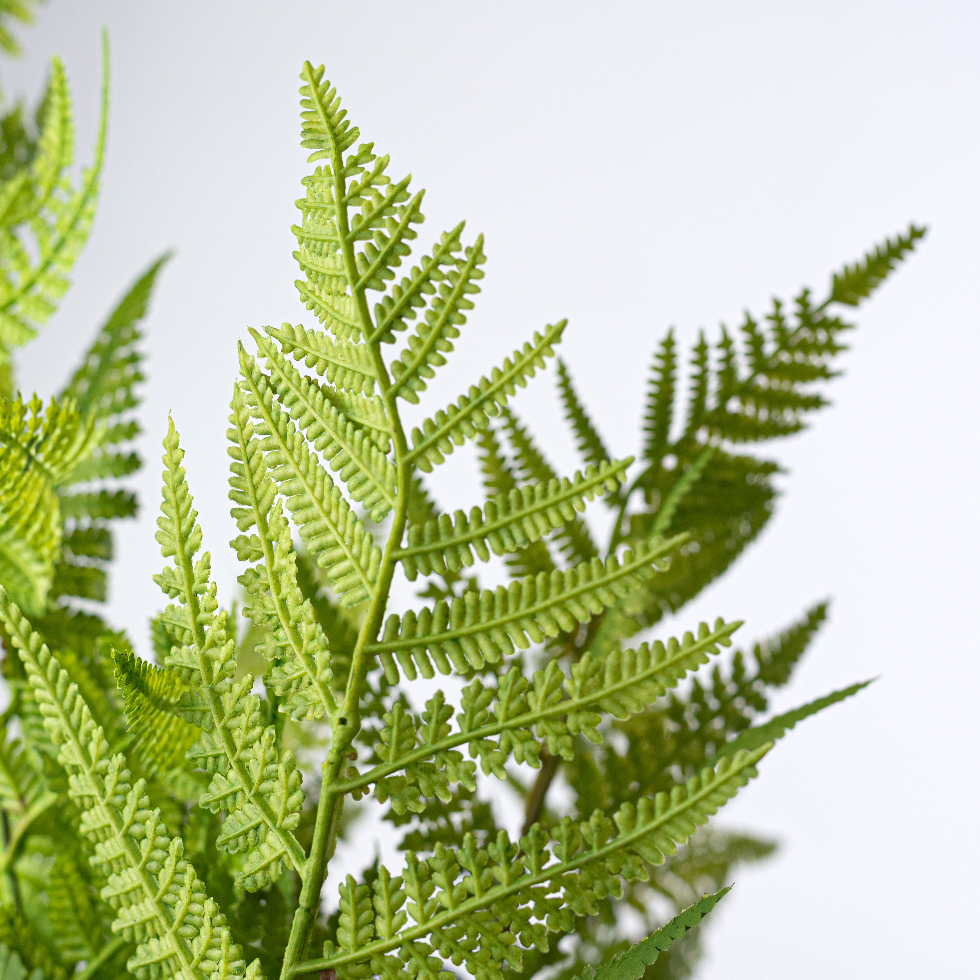 19" Artificial Fern & Frond Bush: Green