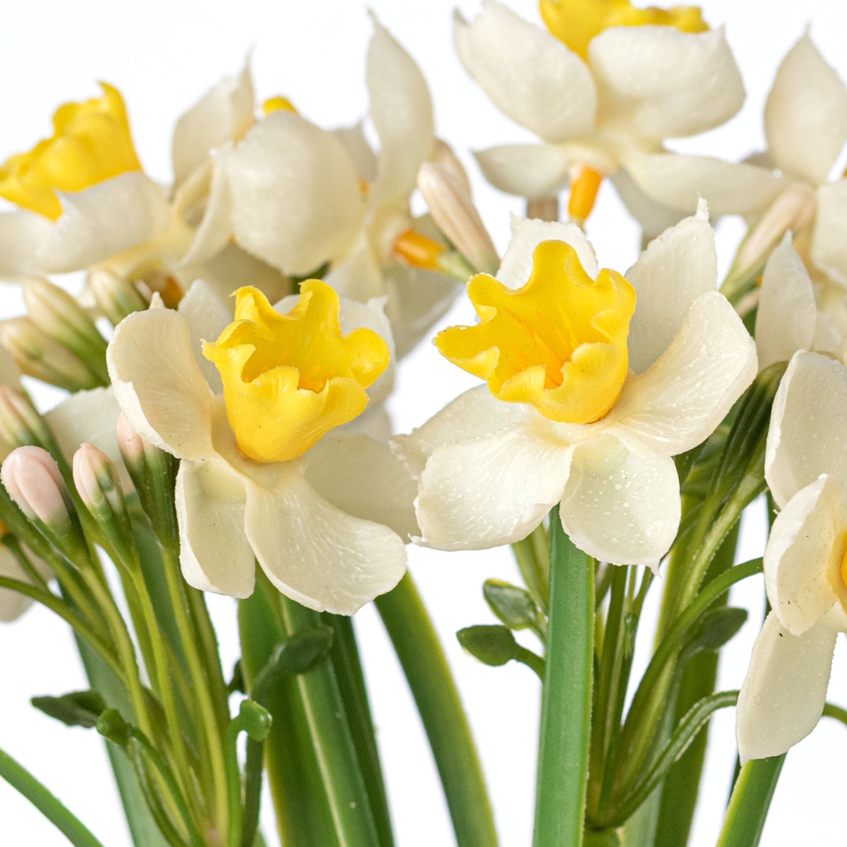 14" Artificial Daffodil Bundle: White & Yellow