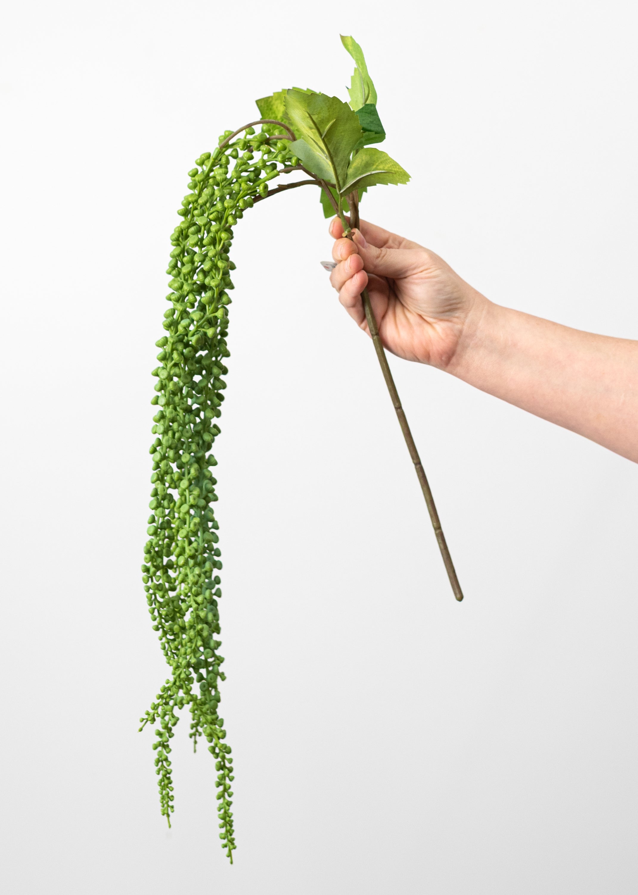 33" Draping Succulents Spray: Green