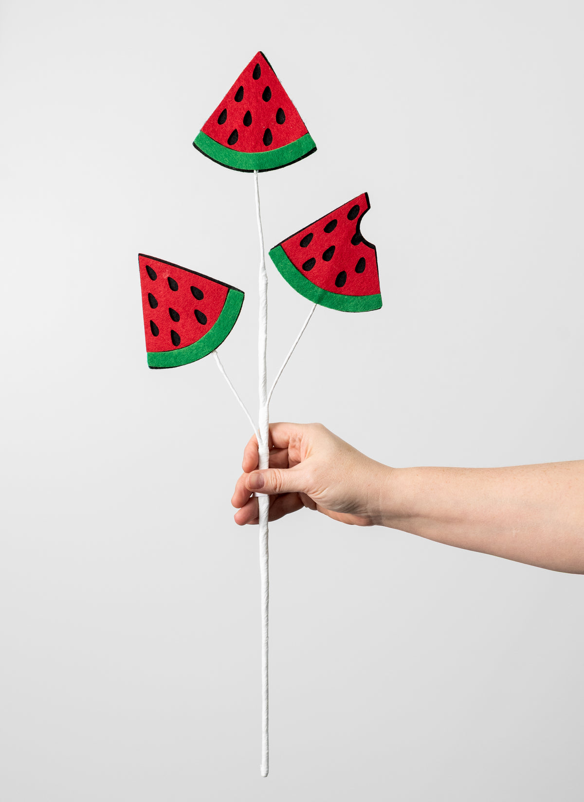 24" Felt Watermelon Slices Spray