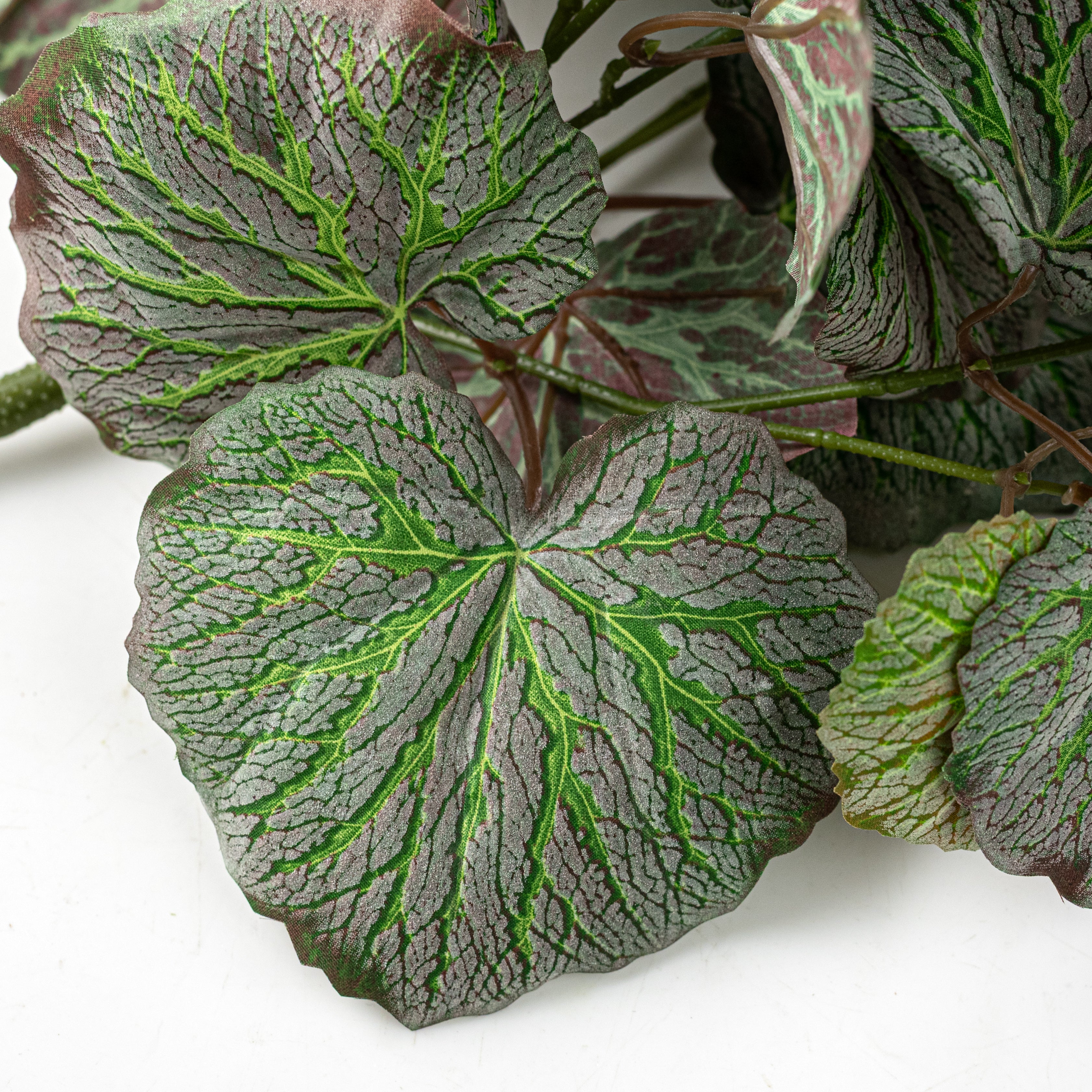 28" Dusted Artificial Begonia Hanging Bush: Variegated Green