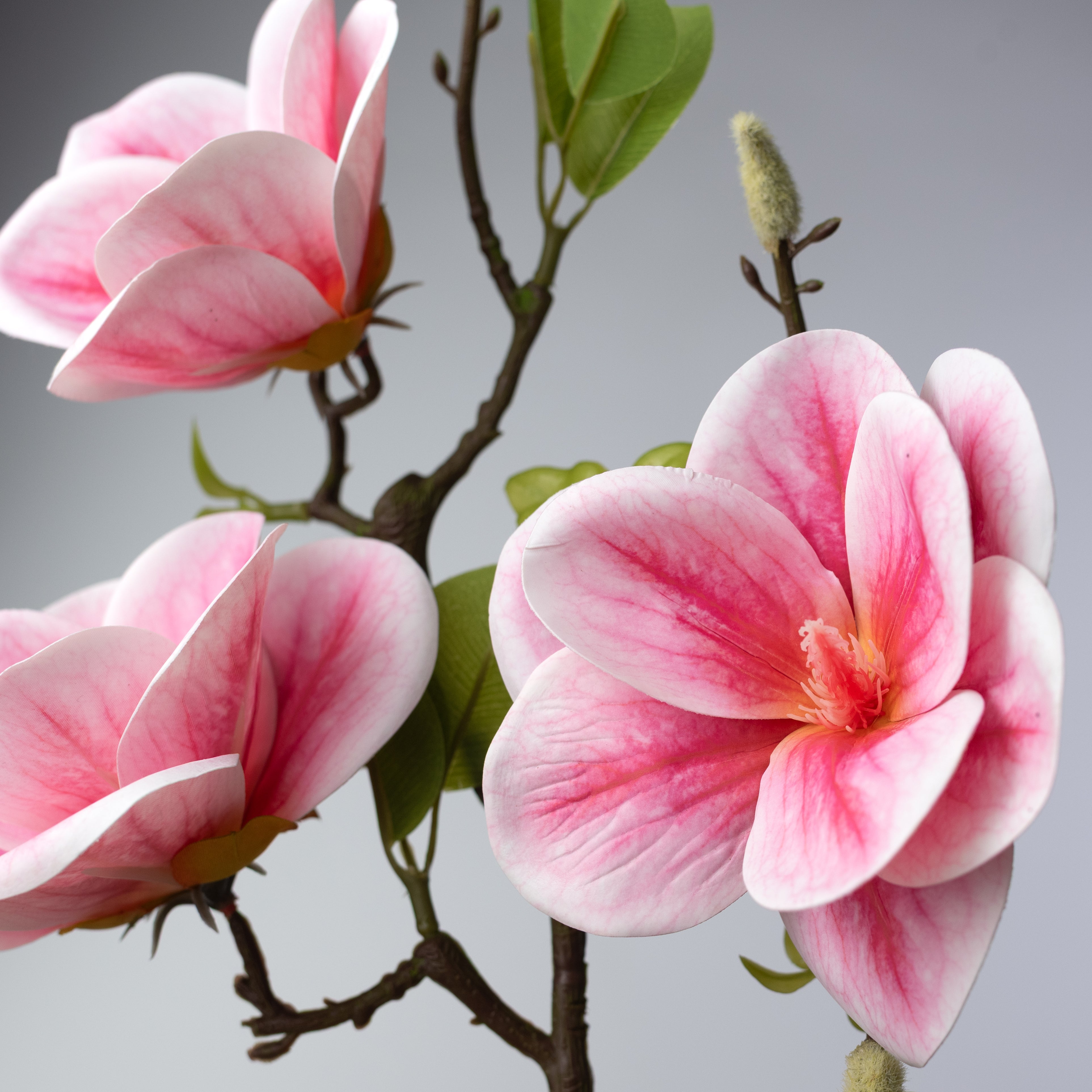 21" Soft Touch Magnolias & Buds Spray: Cream & Beauty Pink