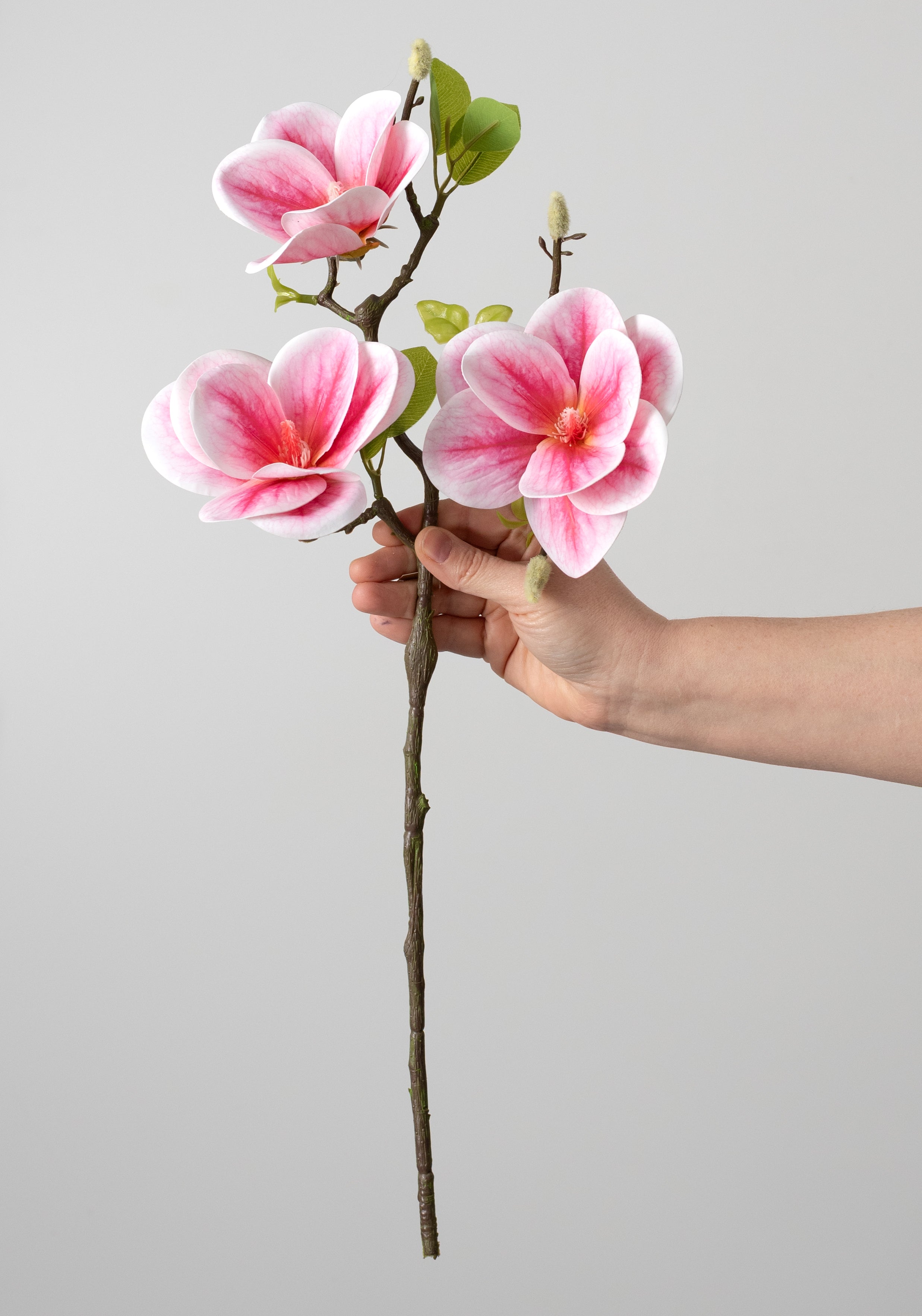 21" Soft Touch Magnolias & Buds Spray: Cream & Beauty Pink