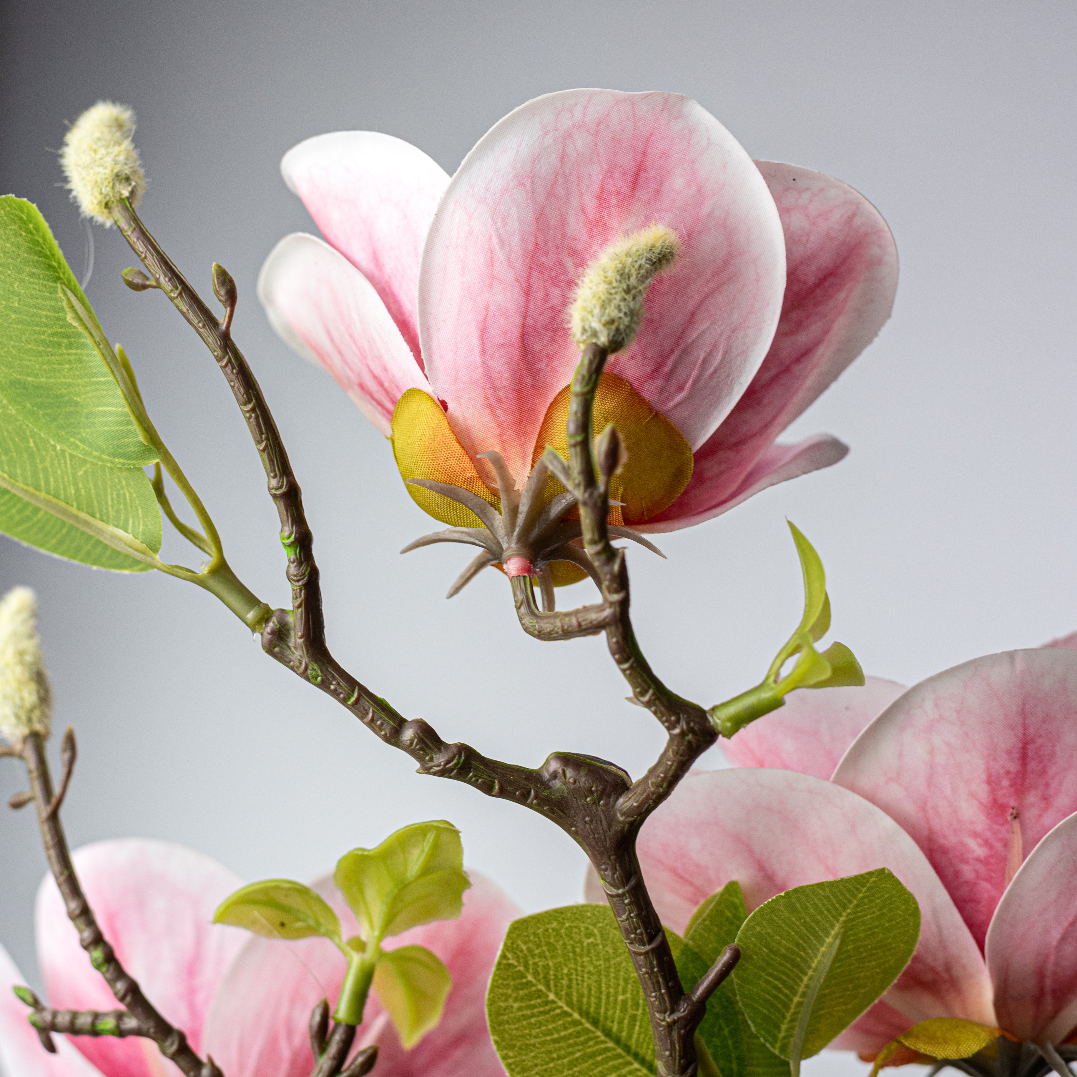 21" Soft Touch Magnolias & Buds Spray: Cream & Beauty Pink