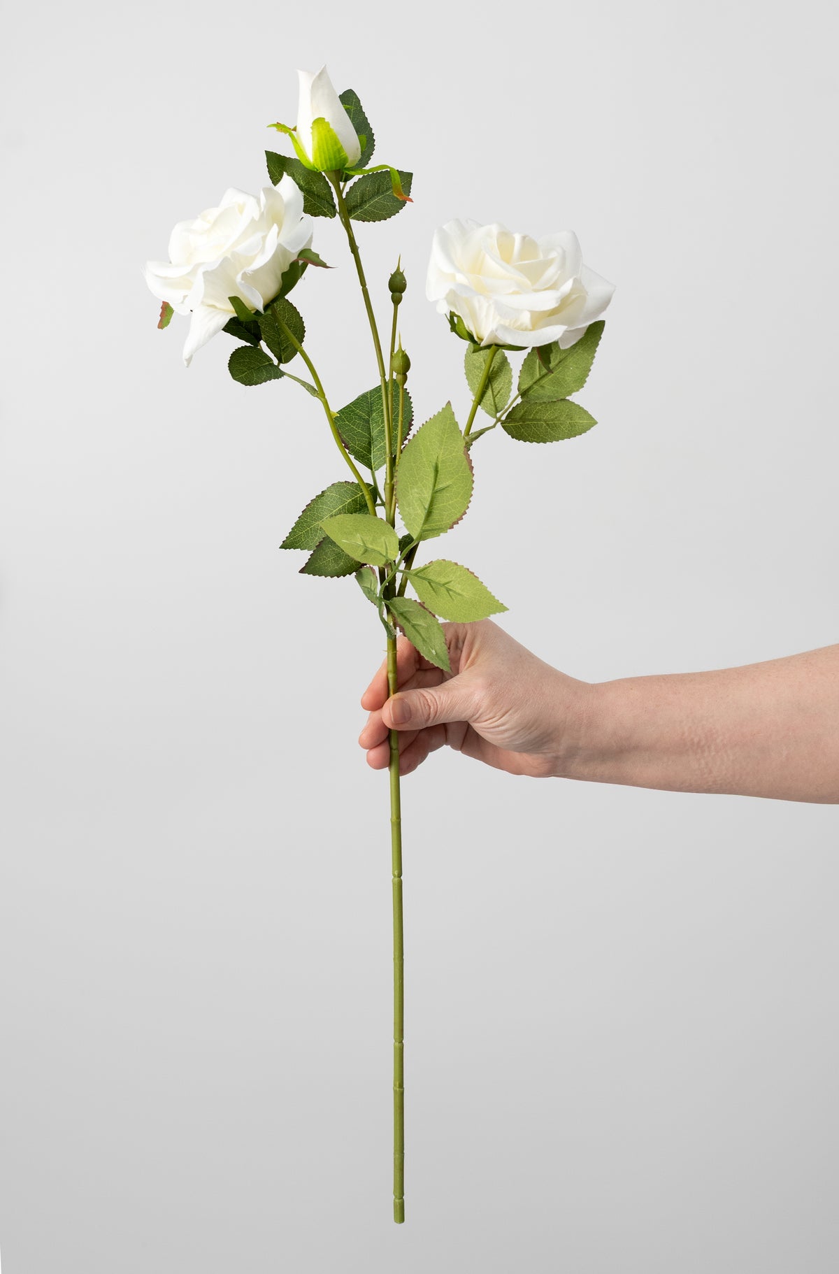 24" Luxe Velvet Roses Spray: White