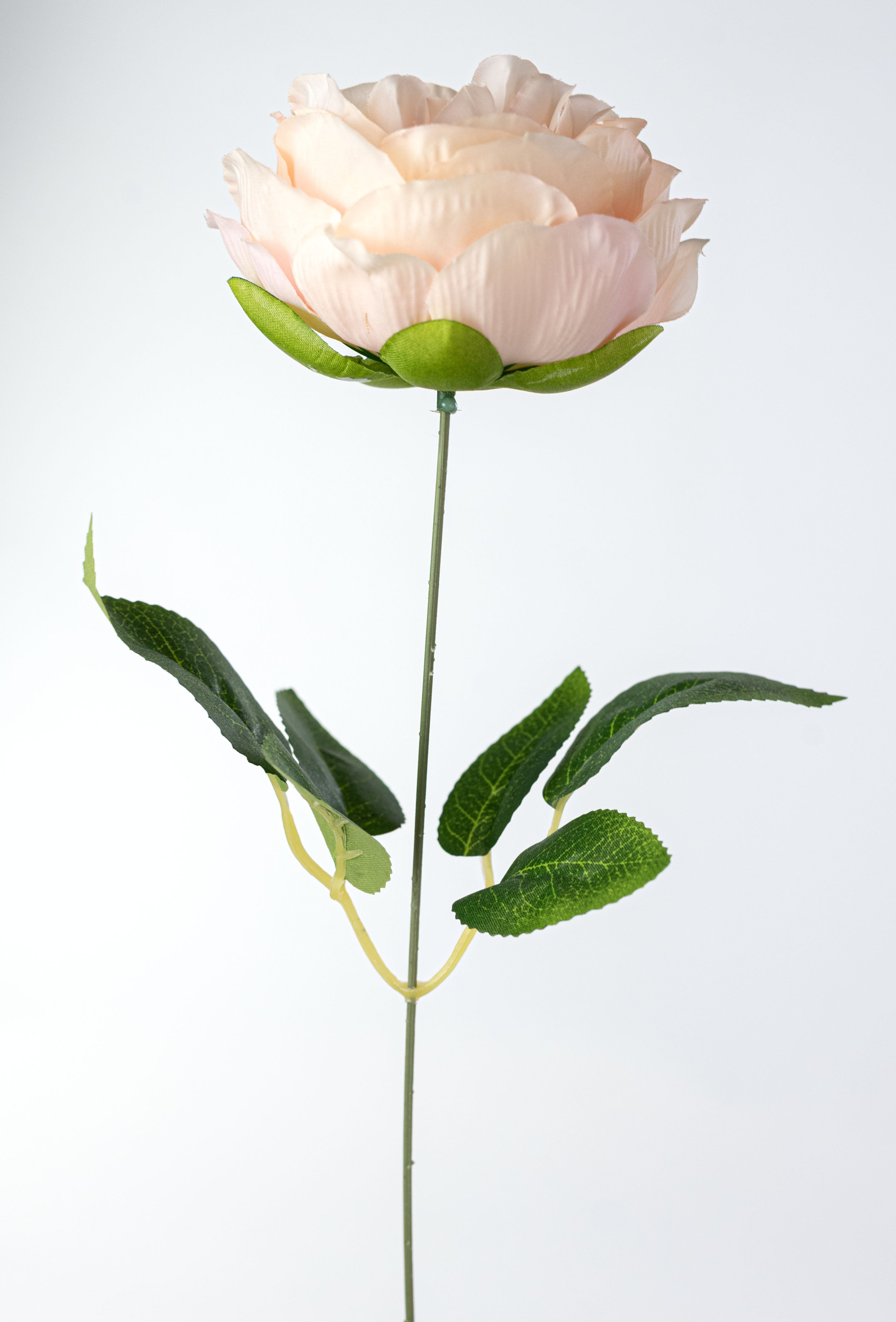 18" Austin Rose & Mum Bush: Peach & Pink (11 Stem)