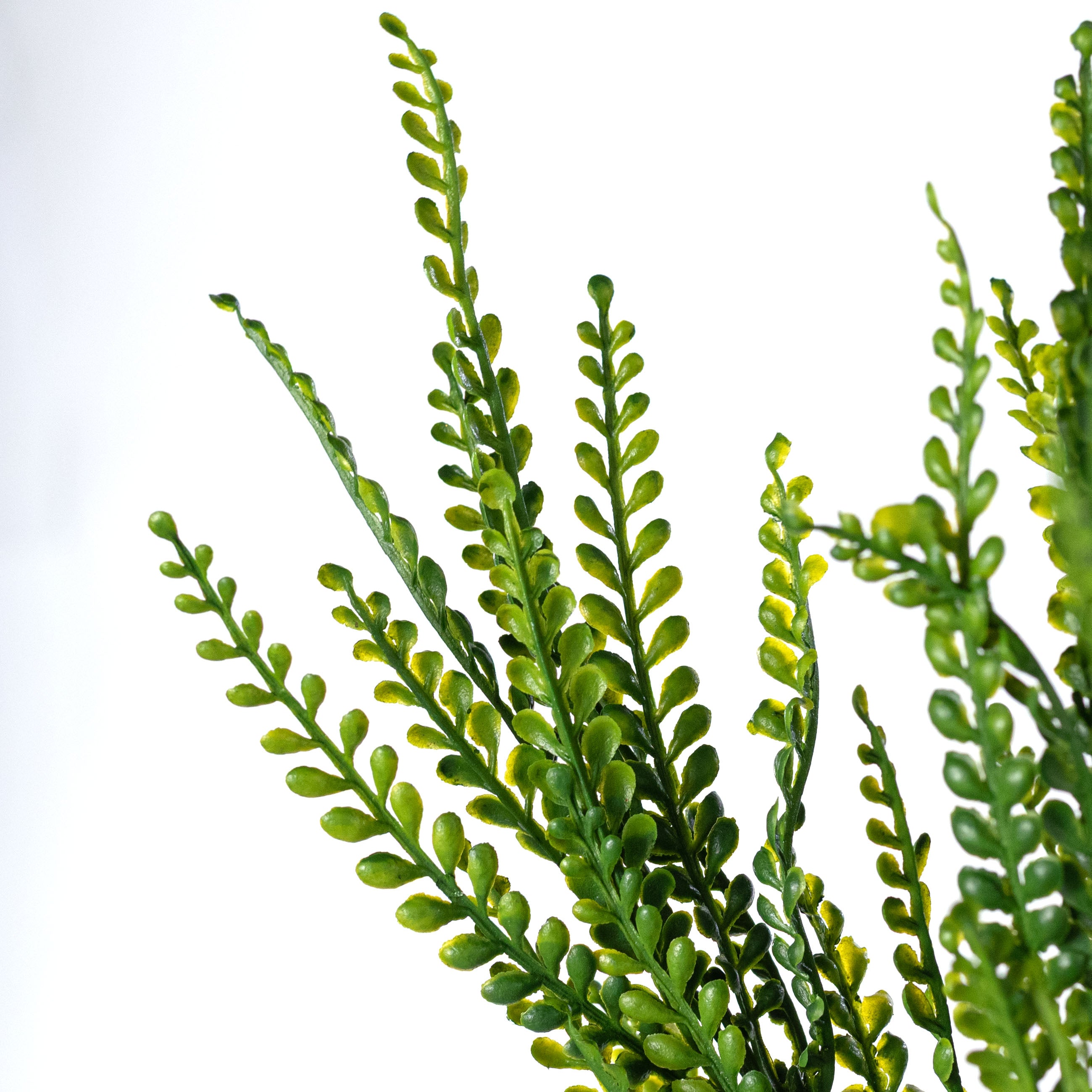 Plastic Bead Grass Button Fern Leaves Bush (7 Stem)