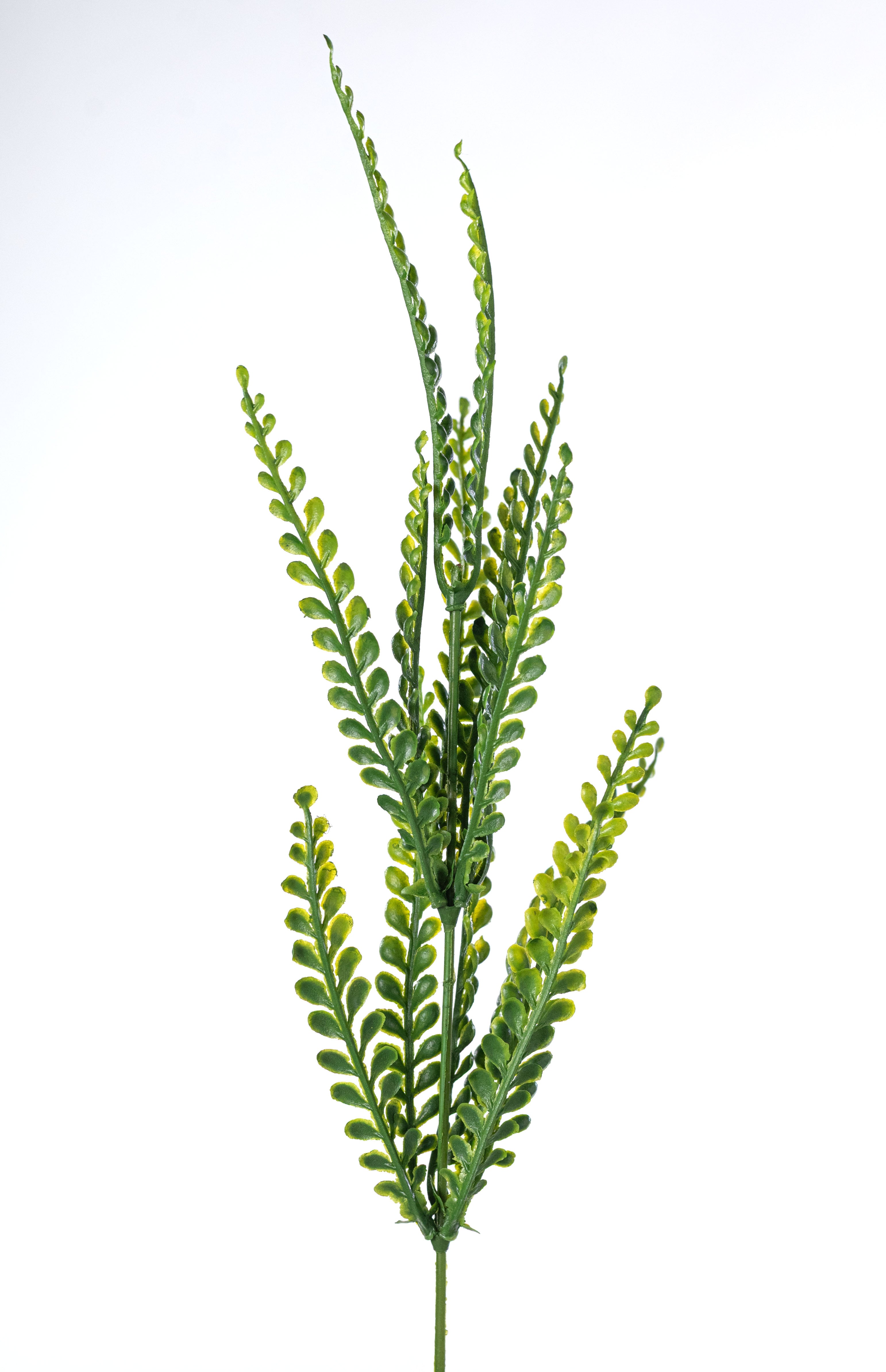 Plastic Bead Grass Button Fern Leaves Bush (7 Stem)