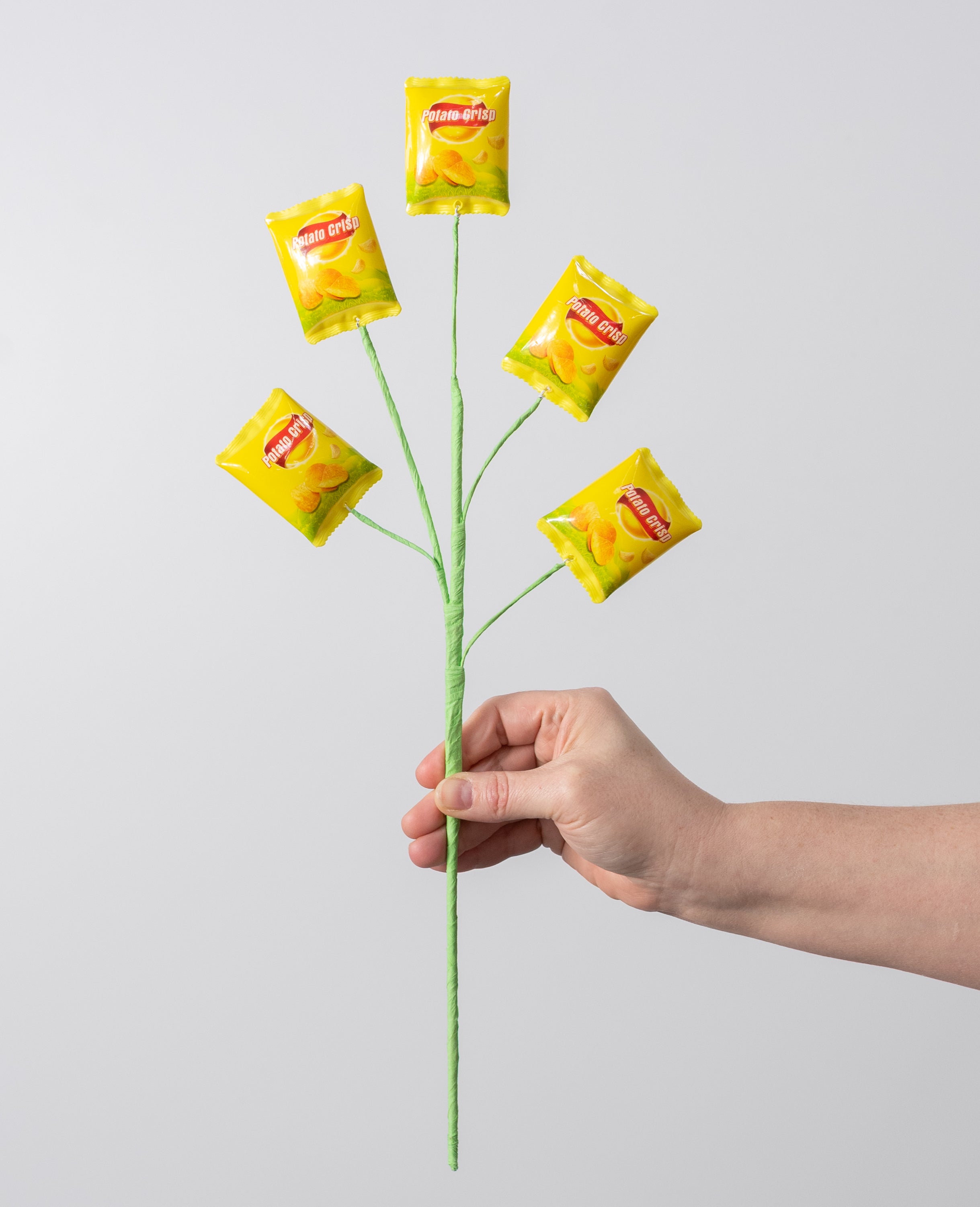 18" Bagged Potato Chips Pick