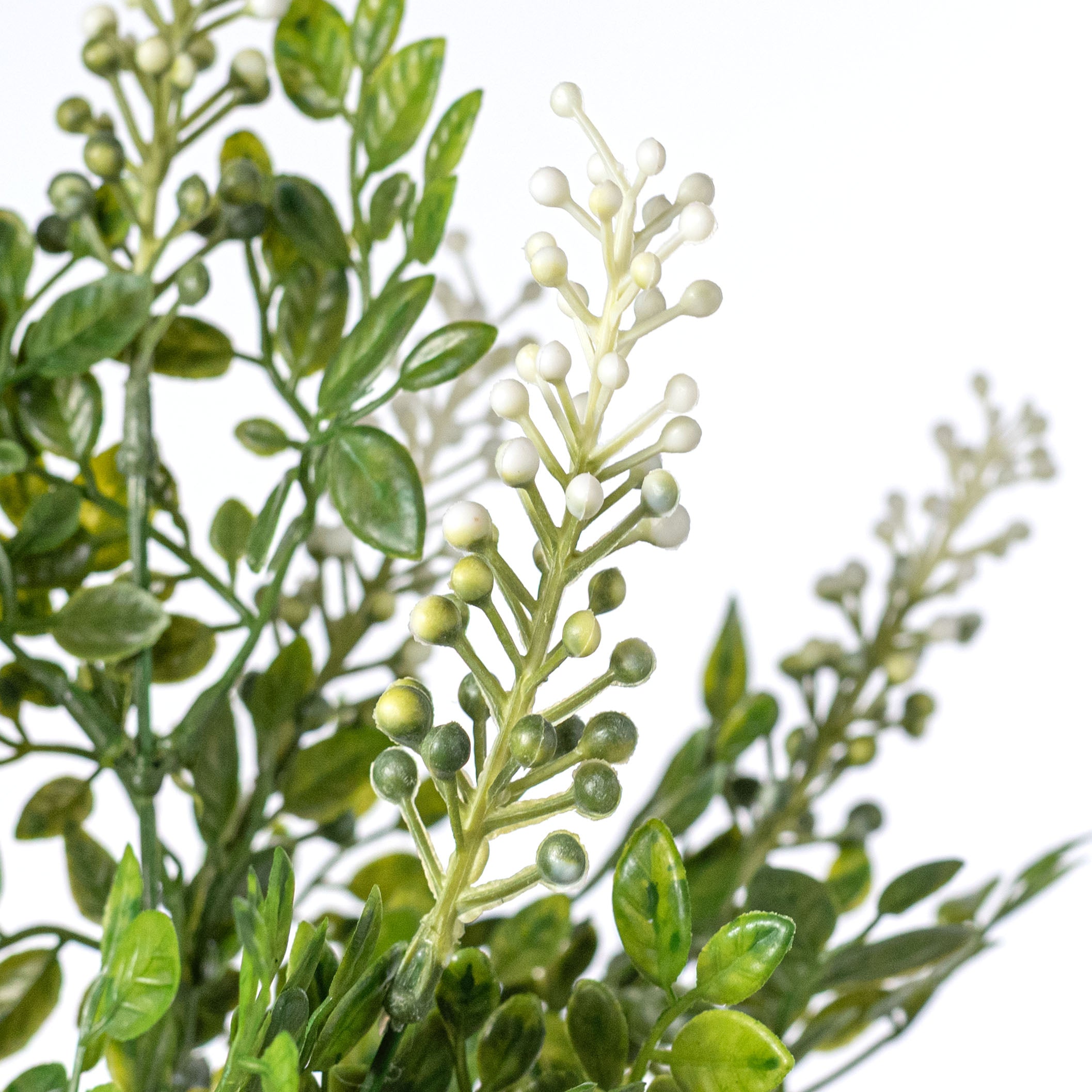 14" Plastic Sedum Leaves Bush: Cream & Green