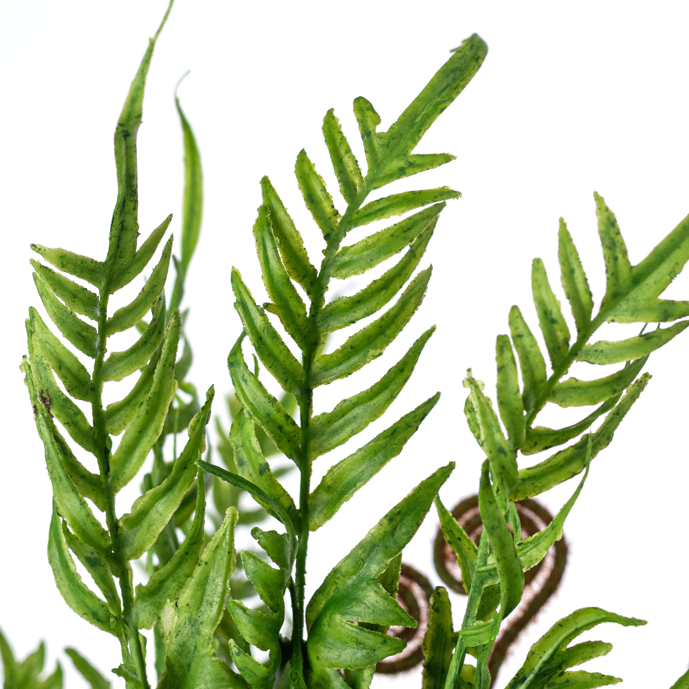 16" Plastic Fern & Fronds Bush: Spring Green