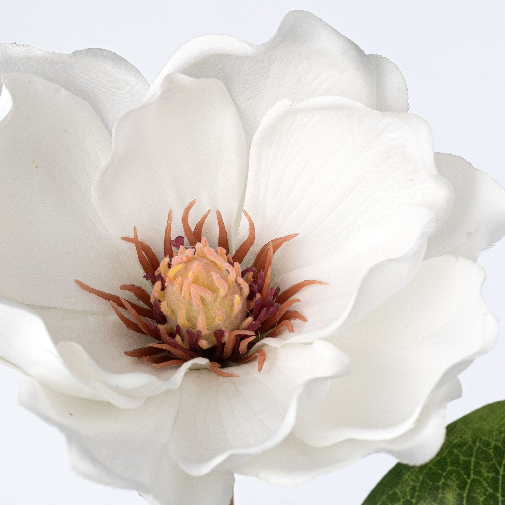 26" Magnolia Flower Stem
