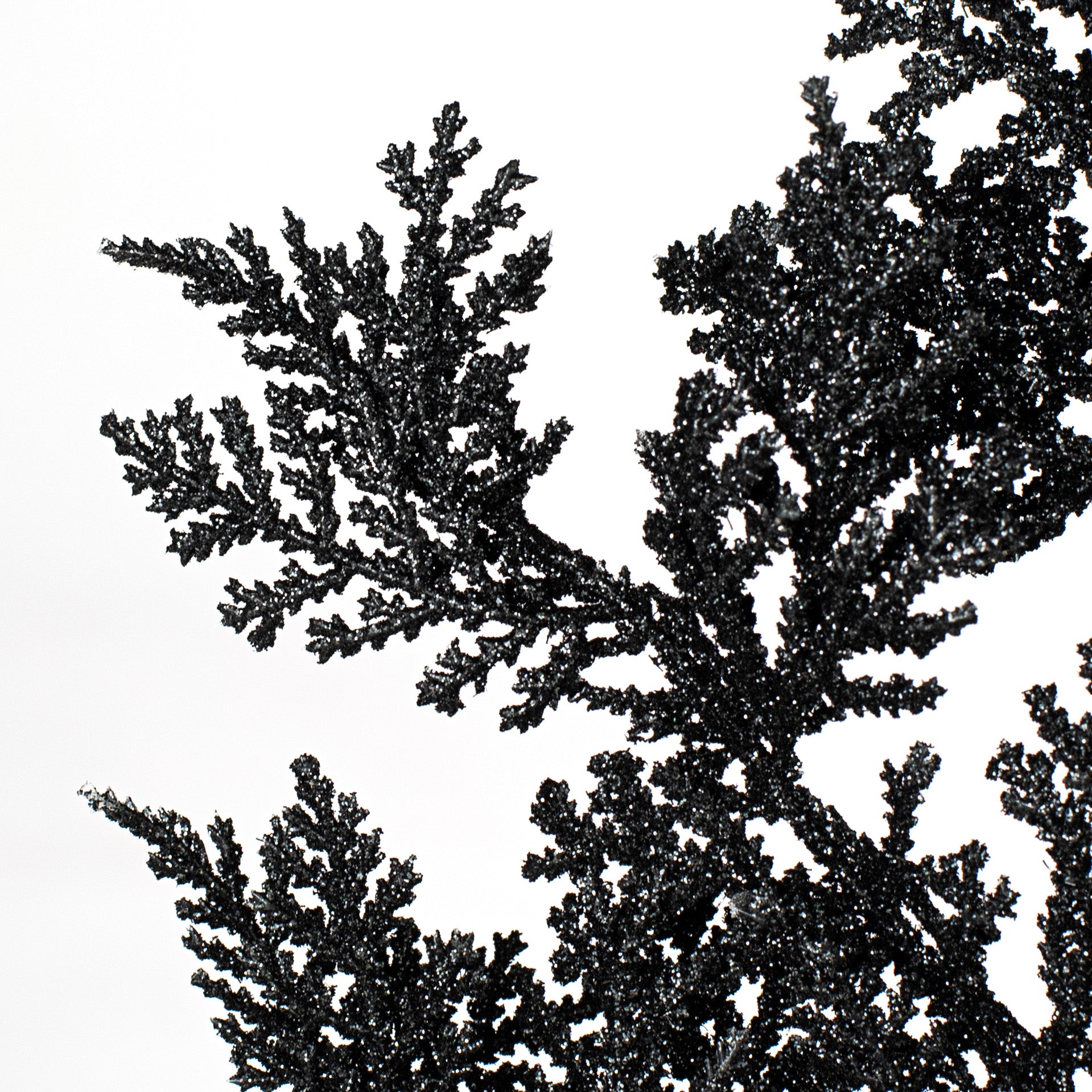 19" Incense Cedar Glitter Spray: Black Lifestyle Photo