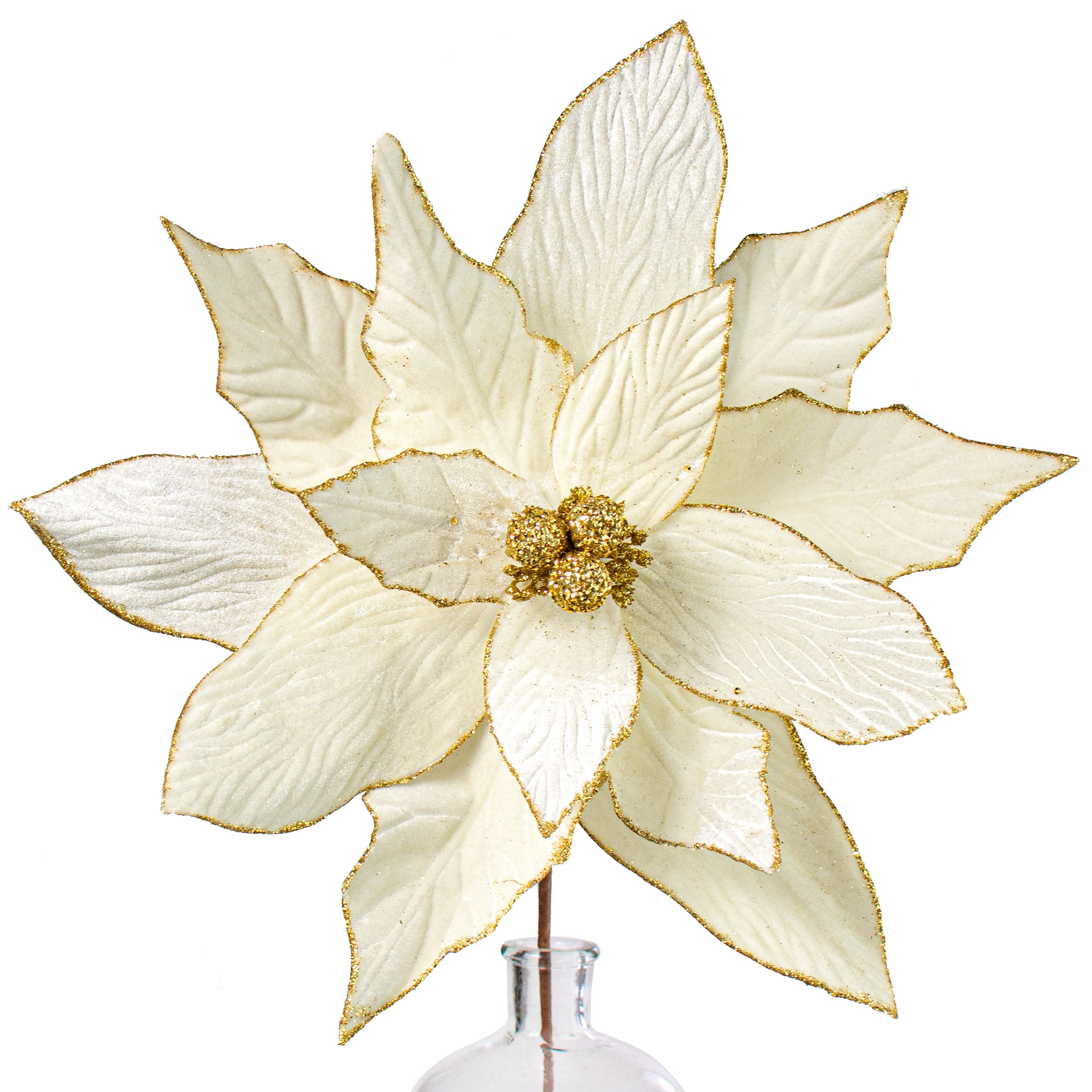 24" Jumbo Poinsettia Stem: Cream Item Number: XS382478