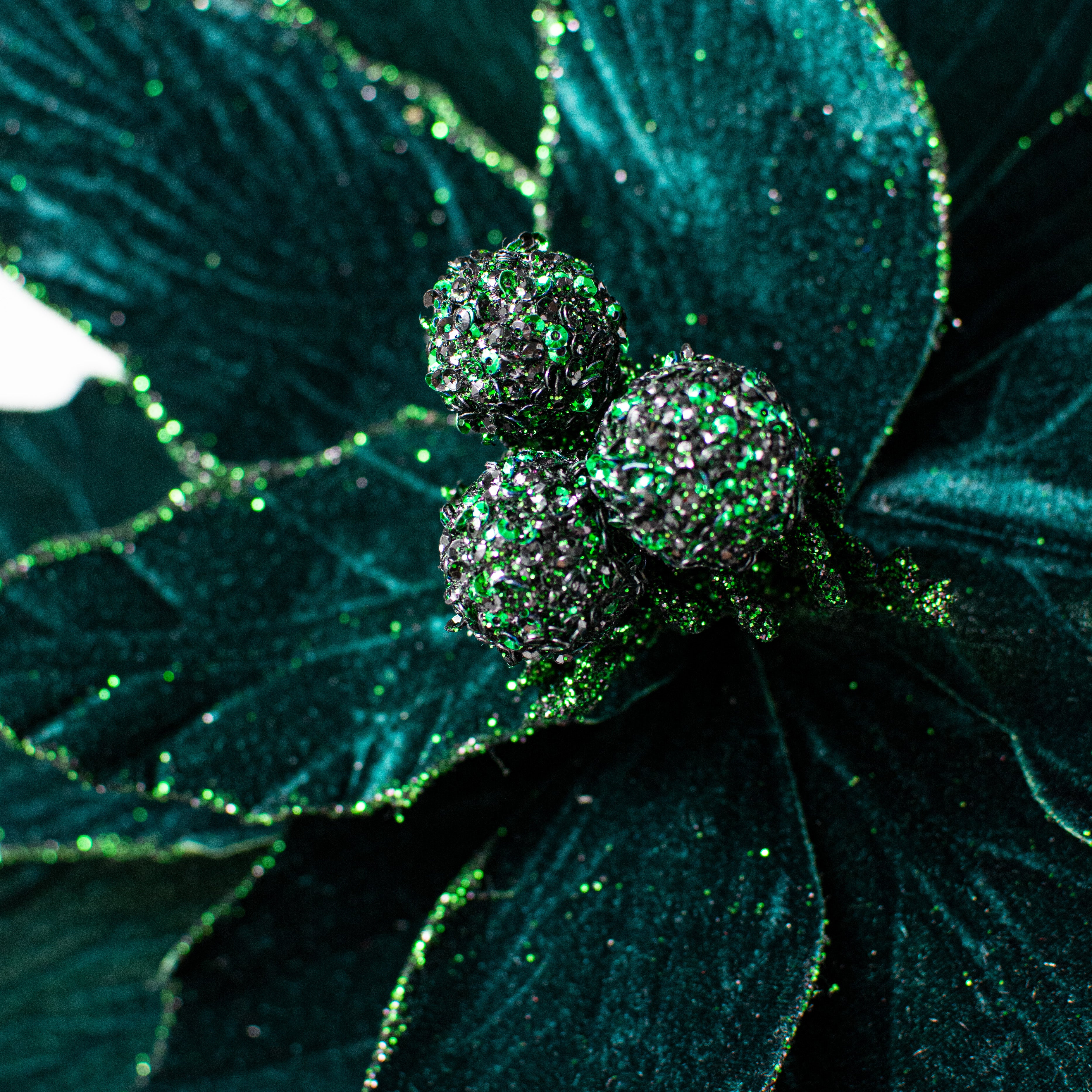 24" Jumbo Poinsettia Stem: Hunter Green detail photo 4