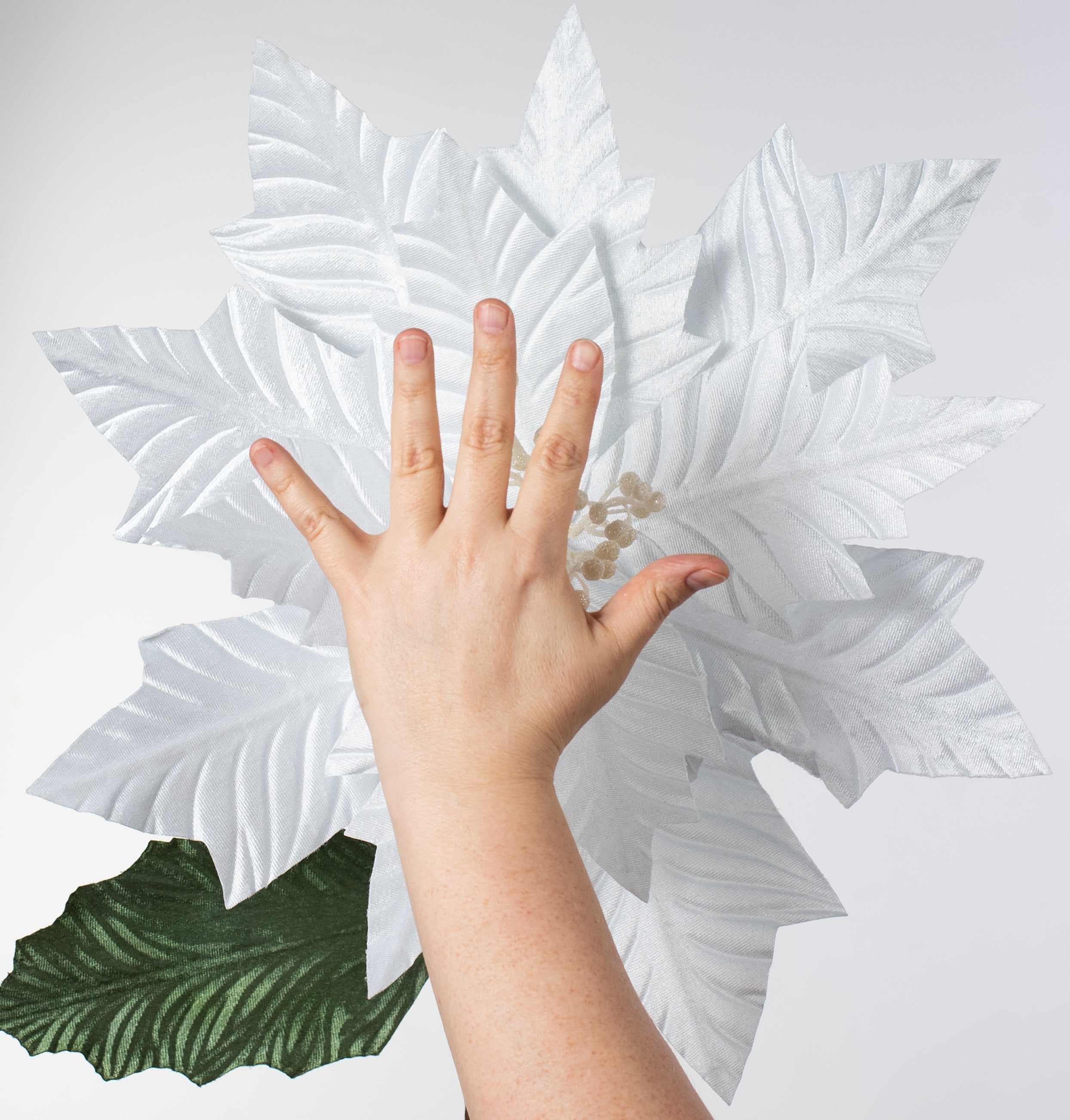 24" Jumbo Poinsettia Stem: White Lifestyle Photo